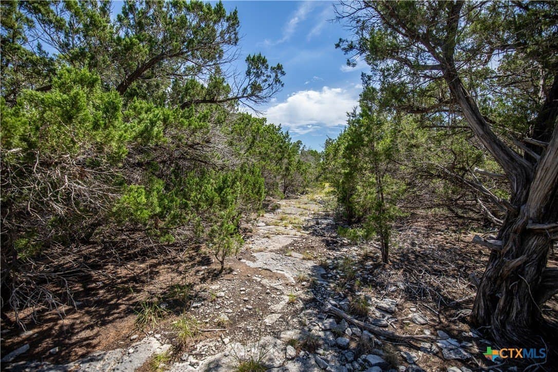 16.9 acres in Bandera County - photo 27