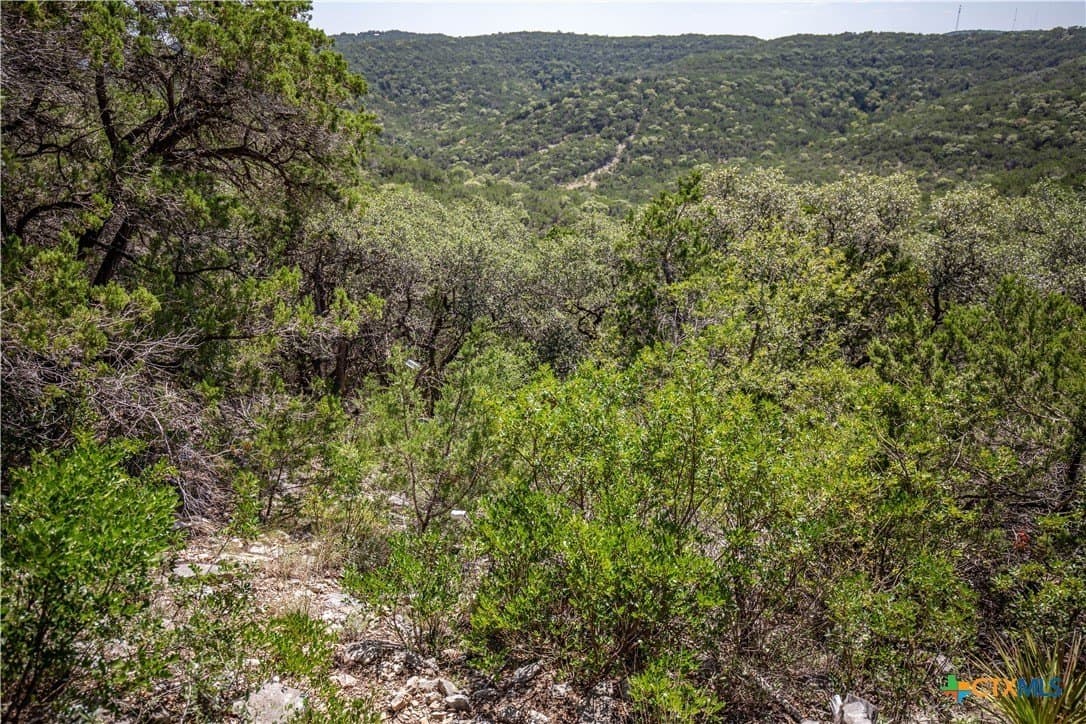 16.9 acres in Bandera County - photo 17