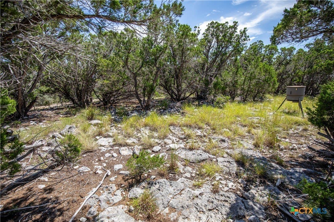 16.9 acres in Bandera County - photo 28