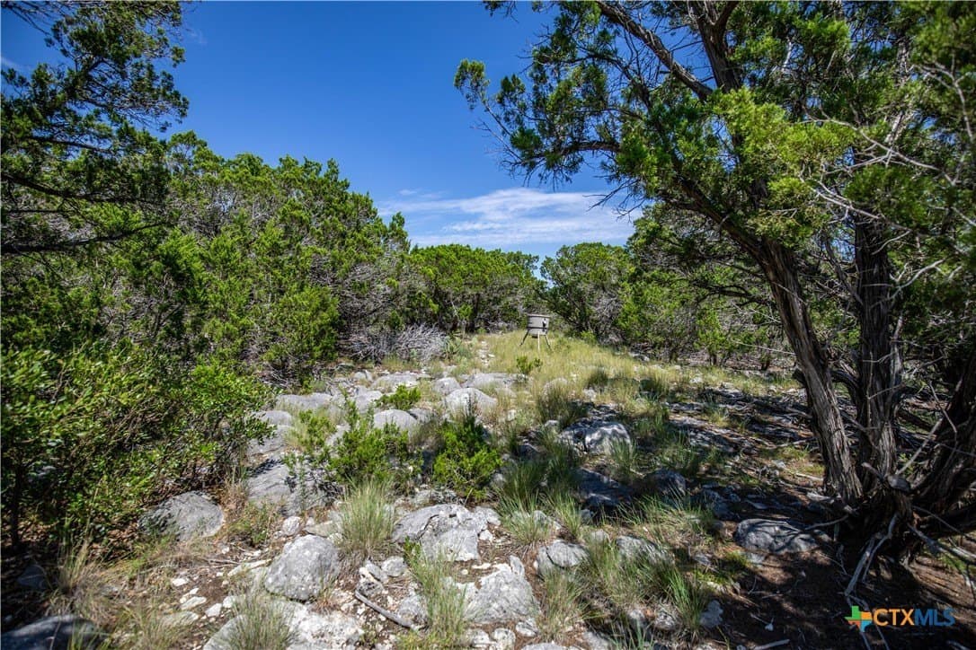 16.9 acres in Bandera County - photo 34