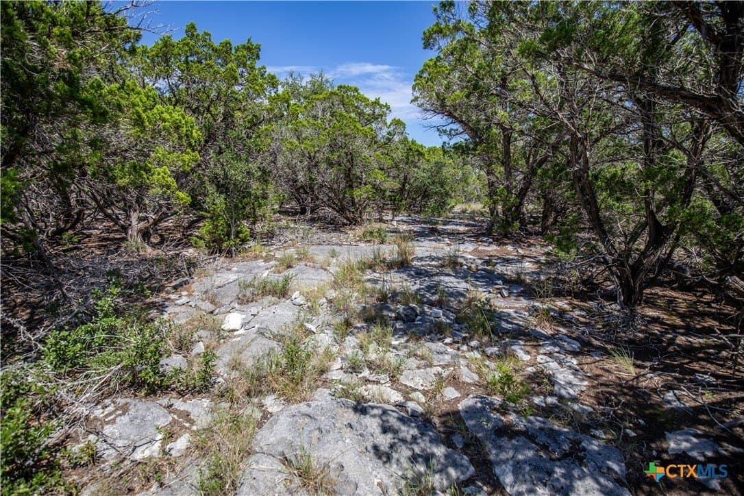 16.9 acres in Bandera County - photo 22