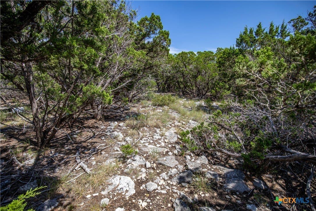16.9 acres in Bandera County - photo 21