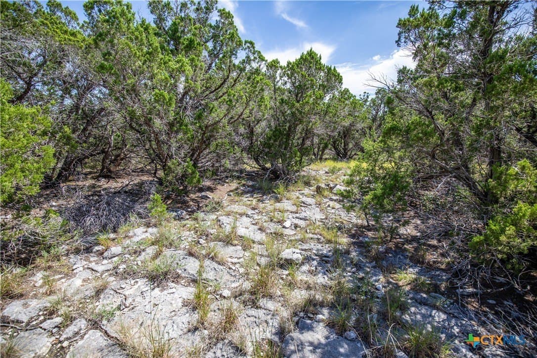 16.9 acres in Bandera County - photo 24