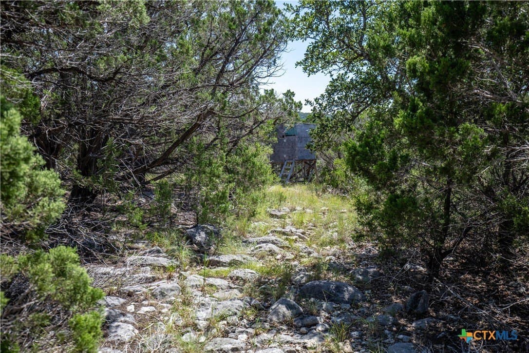 16.9 acres in Bandera County - photo 37