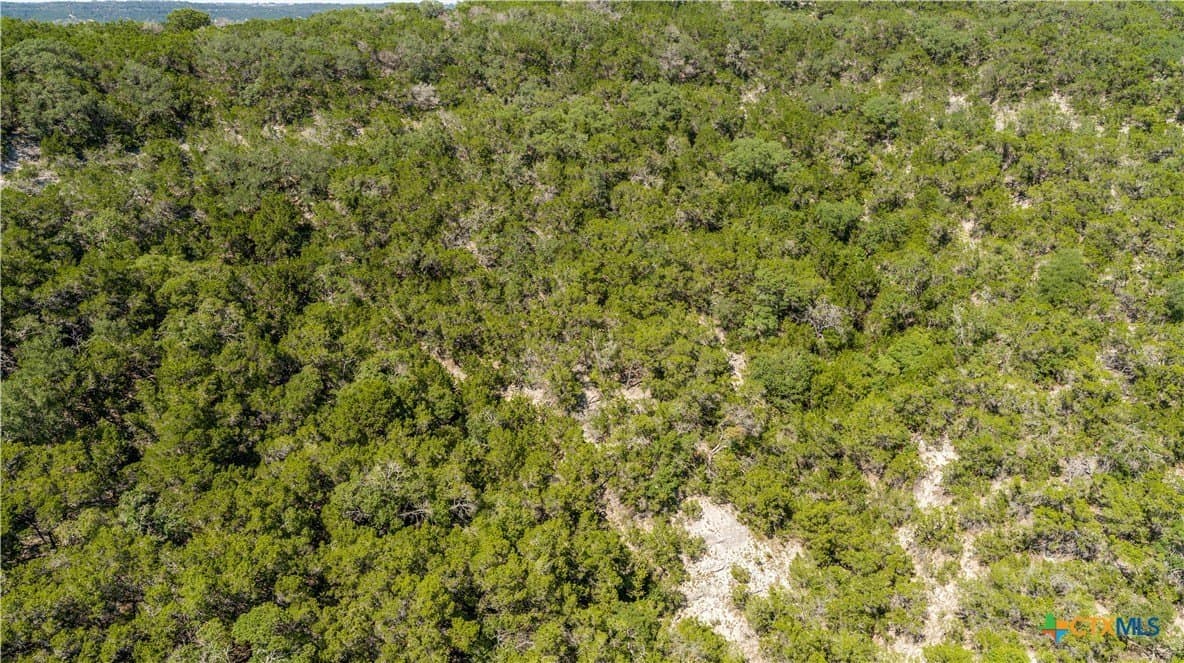 16.9 acres in Bandera County - photo 9