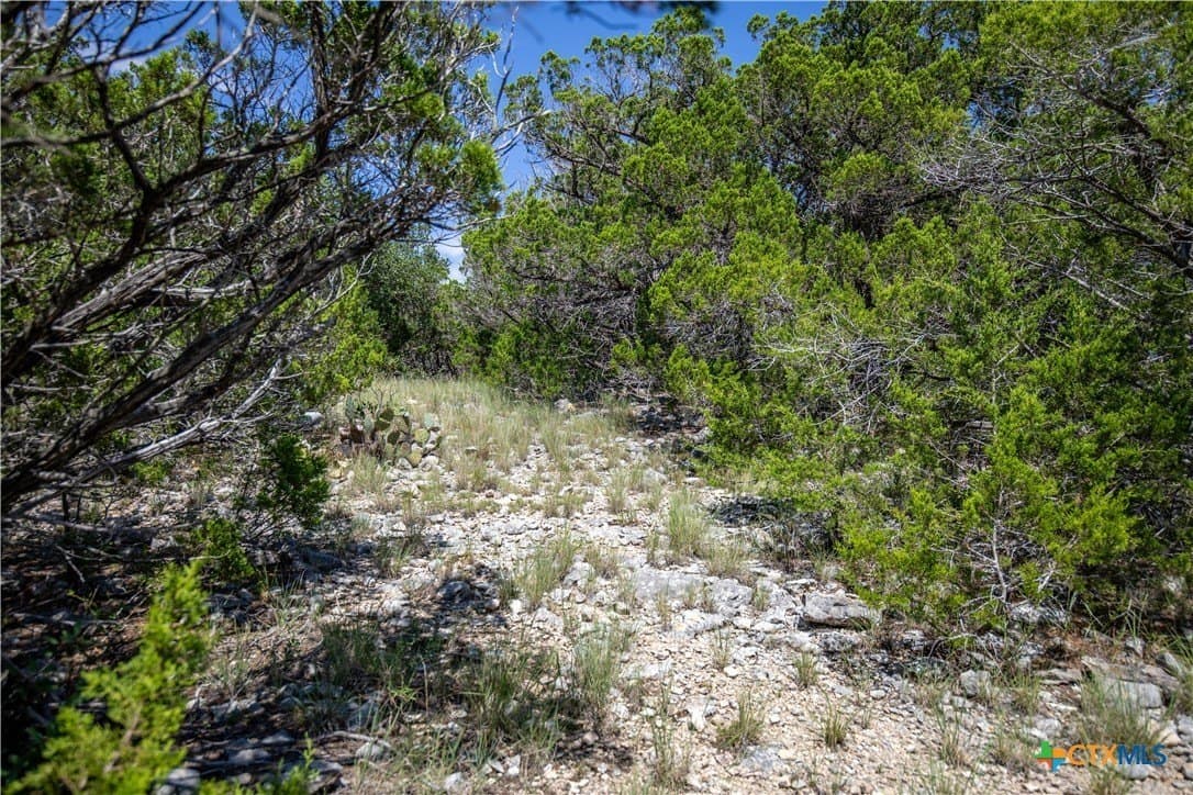 16.9 acres in Bandera County - photo 36