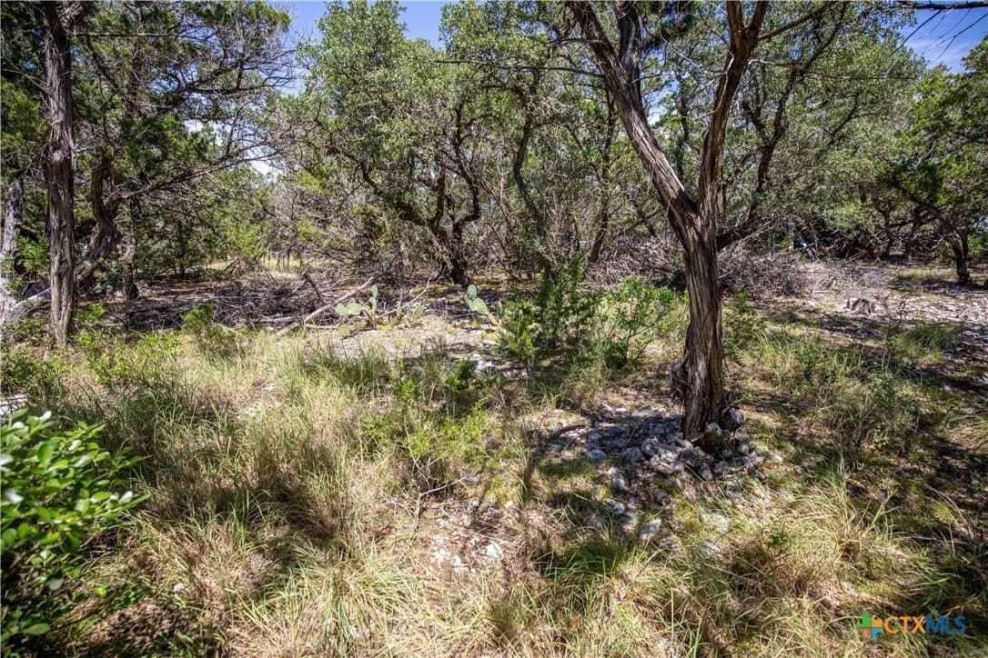 16.9 acres in Bandera County - photo 18