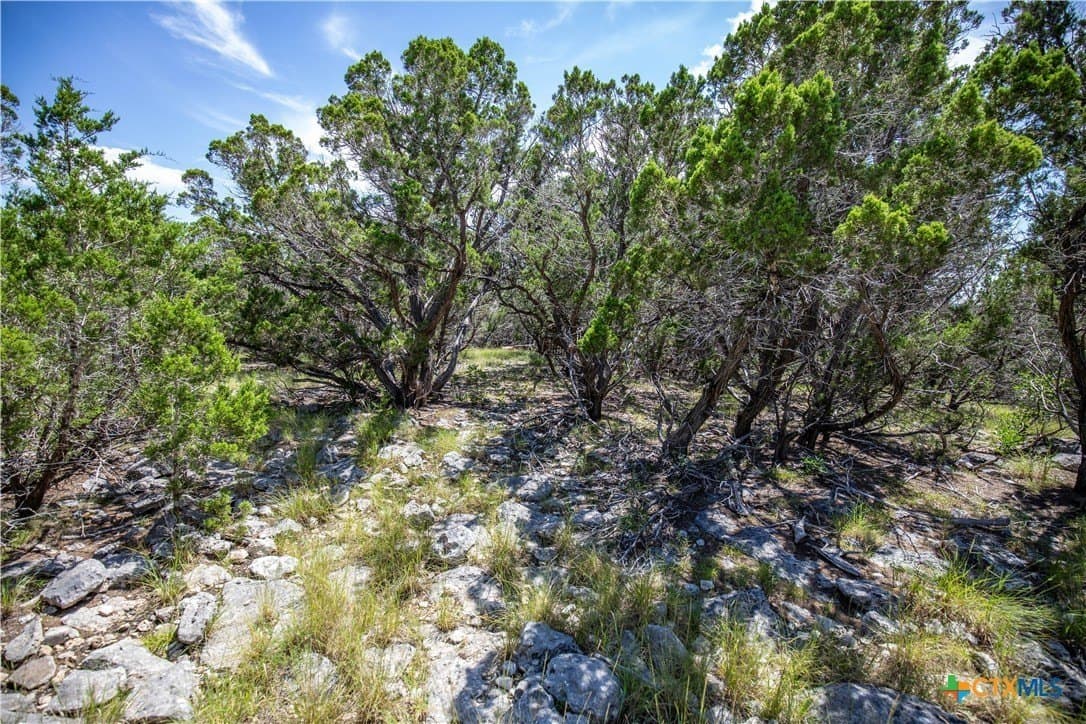 16.9 acres in Bandera County - photo 30