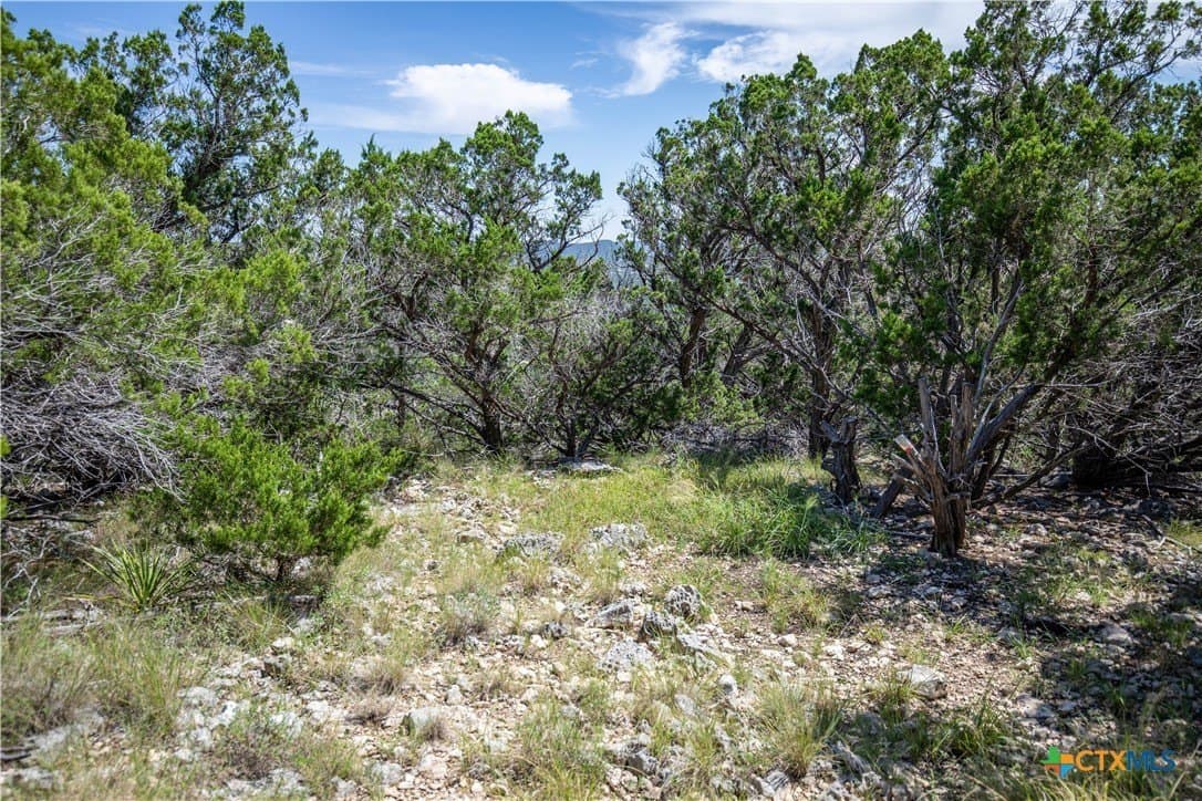 16.9 acres in Bandera County - photo 31