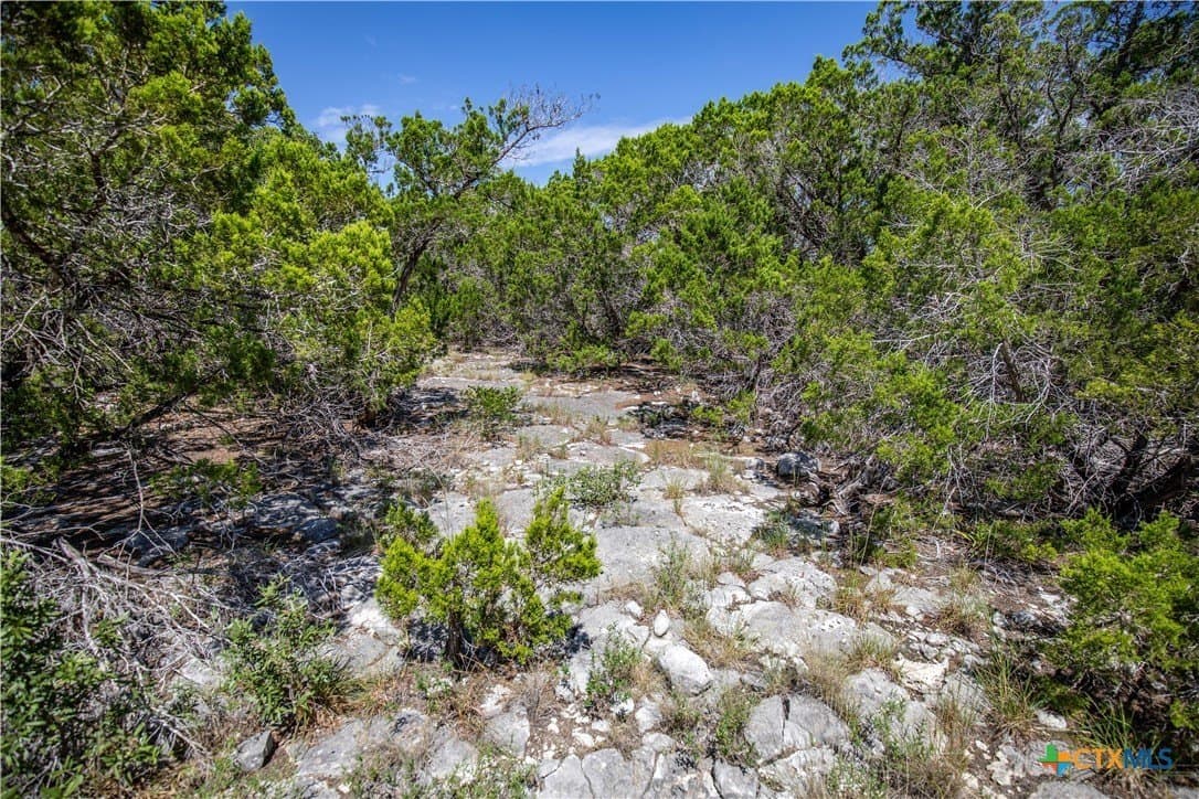 16.9 acres in Bandera County - photo 23