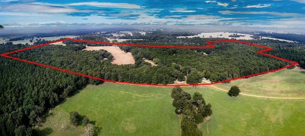 194 acres in Anderson County gallery image 2