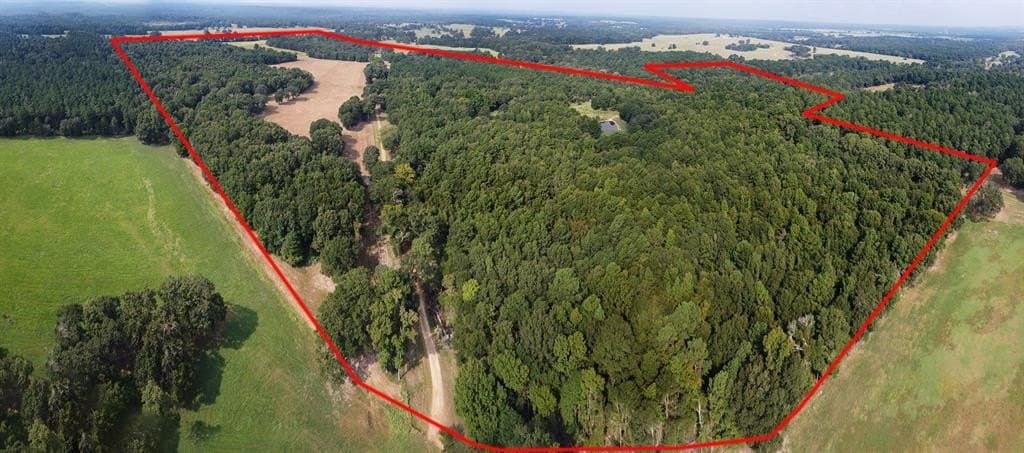 194 acres in Anderson County gallery image 3