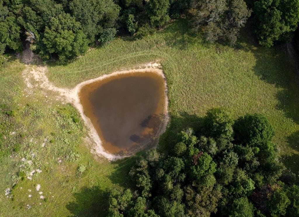 194 acres in Anderson County gallery image 4