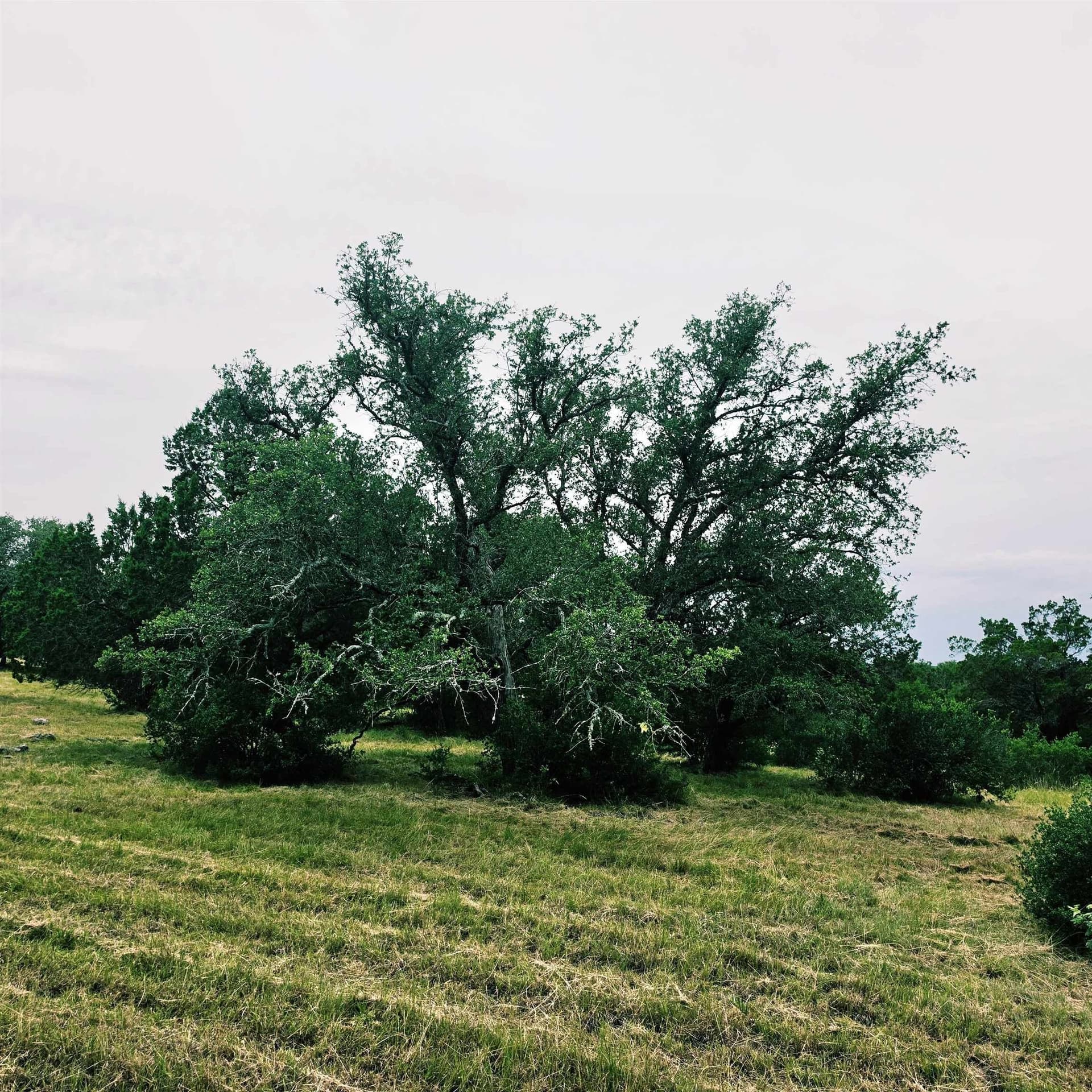 0.28 acres in Llano County gallery image 3