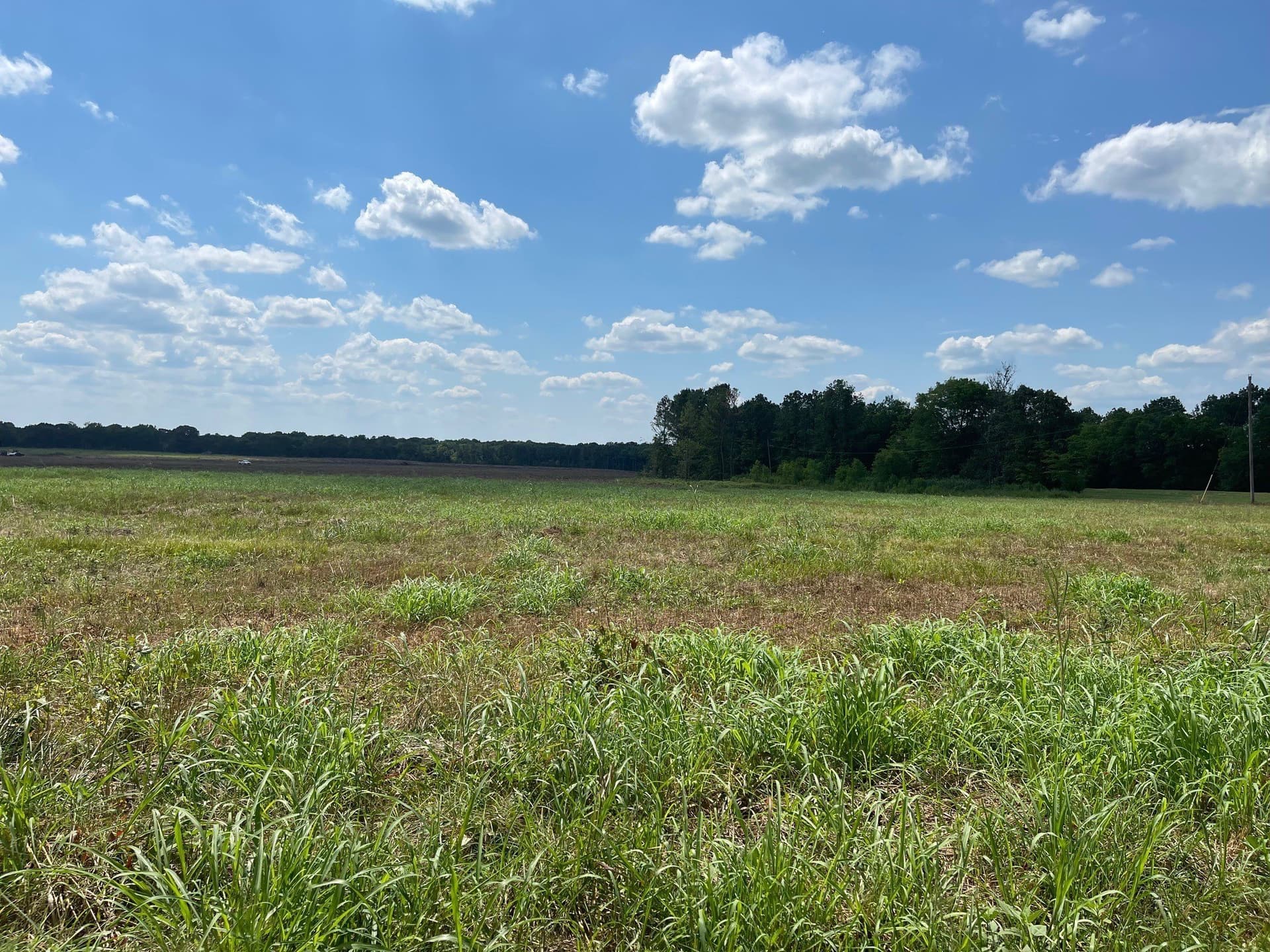 14.04 acres in Red River (TX) County - photo 3