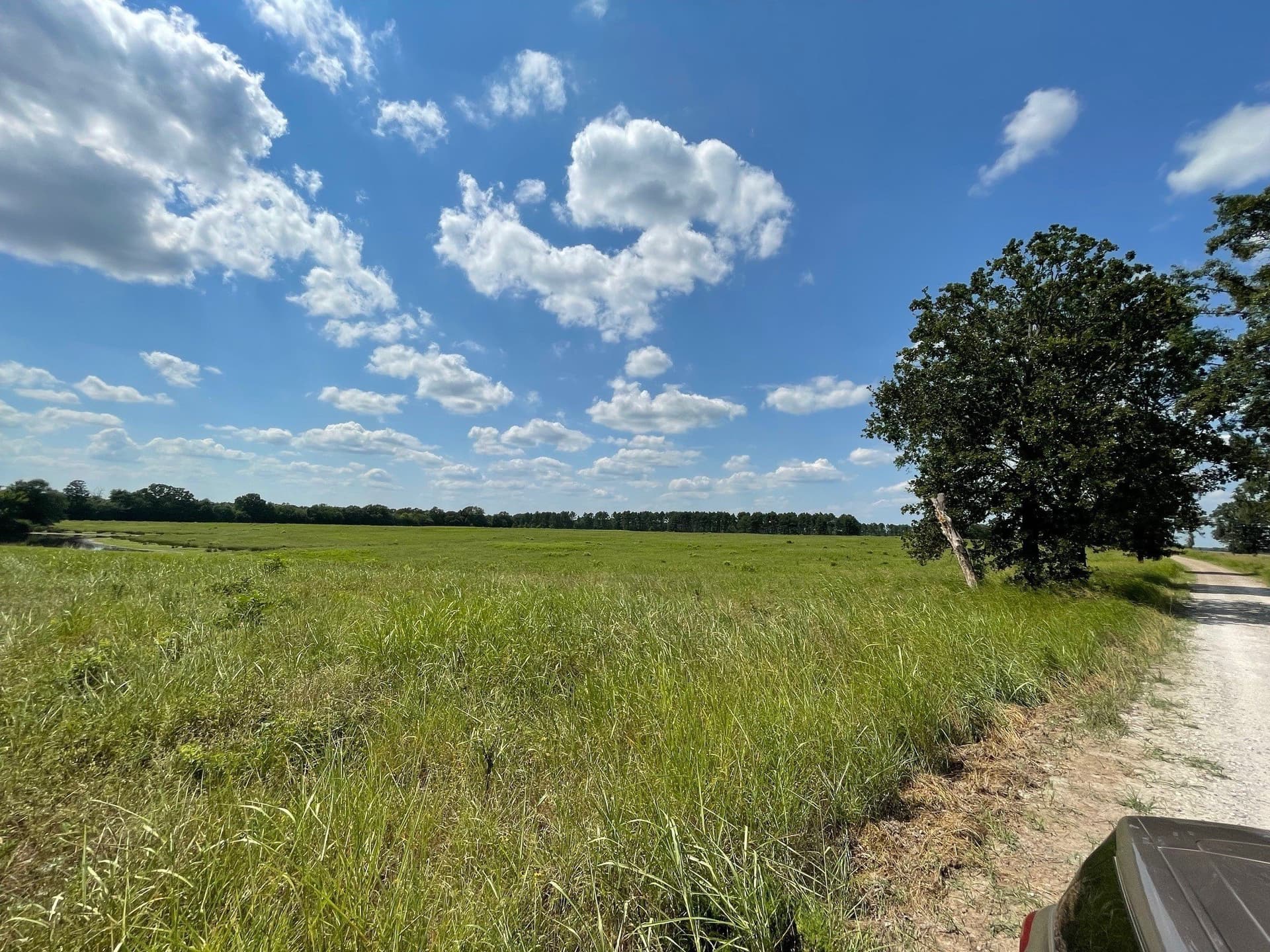 14.04 acres in Red River (TX) County - photo 4