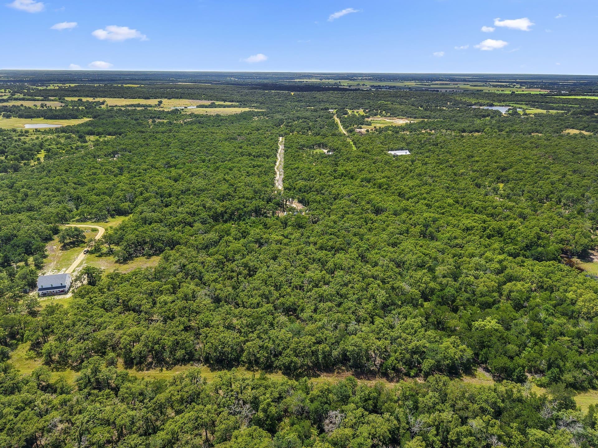 10.01 acres in Milam County - photo 25