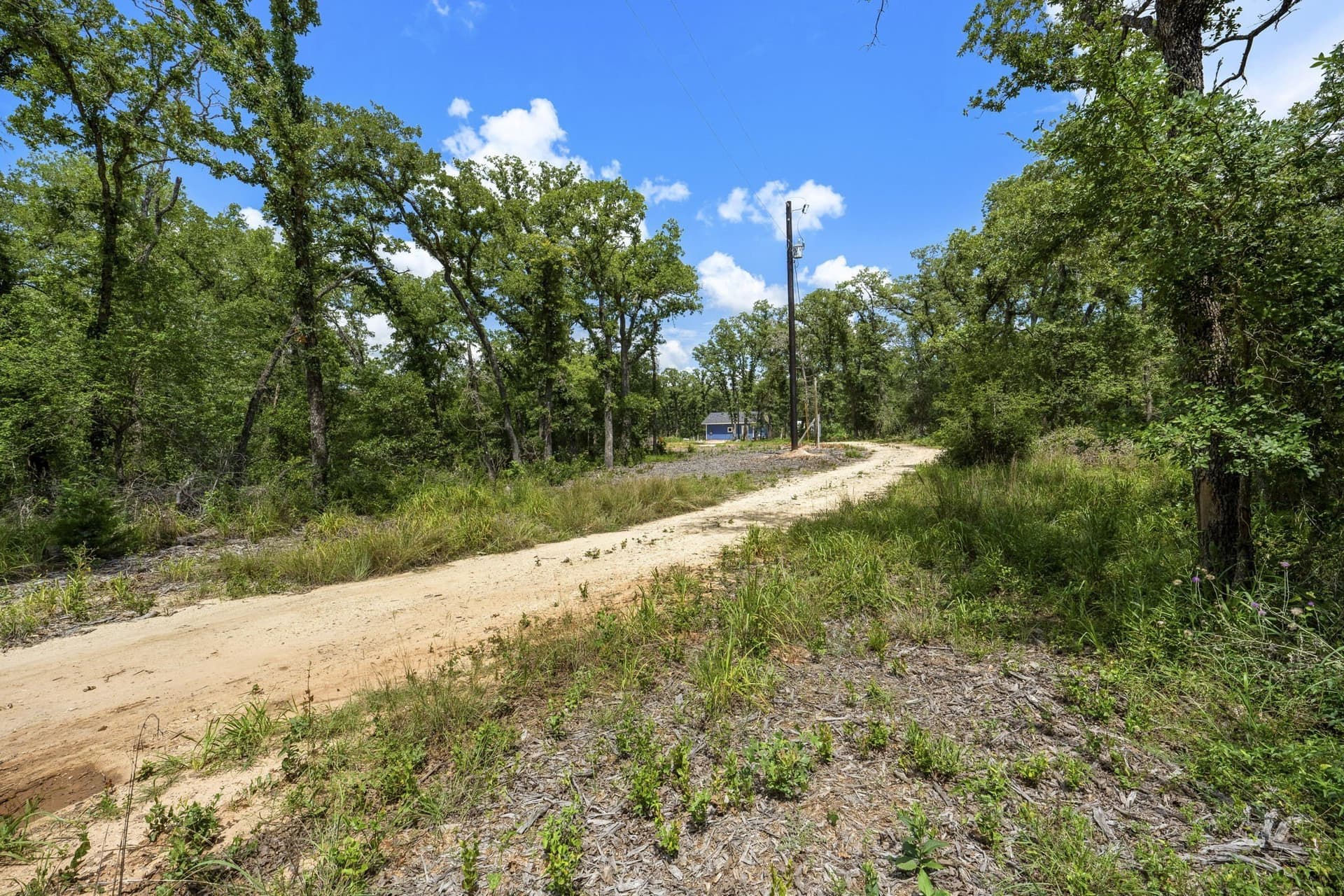 10.01 acres in Milam County - photo 19