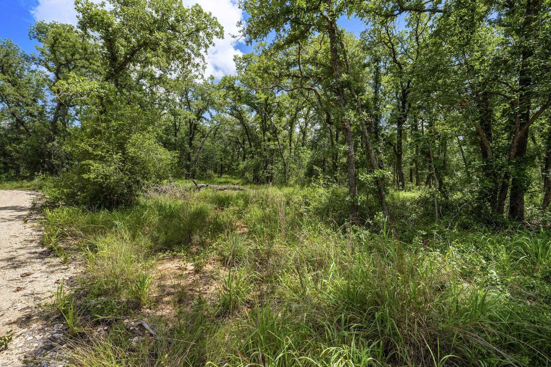 10.01 acres in Milam County - photo 18