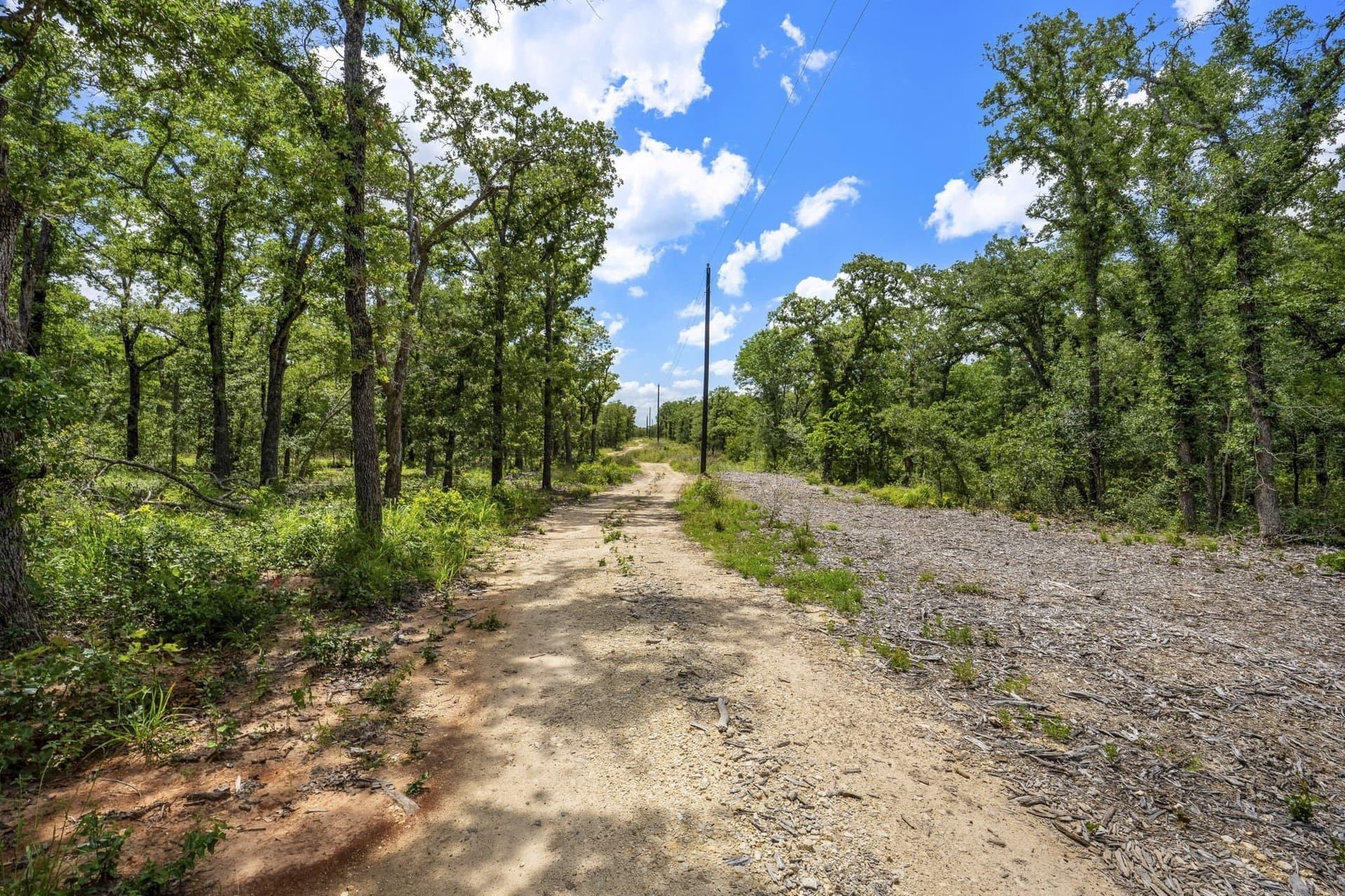 10.01 acres in Milam County - photo 17