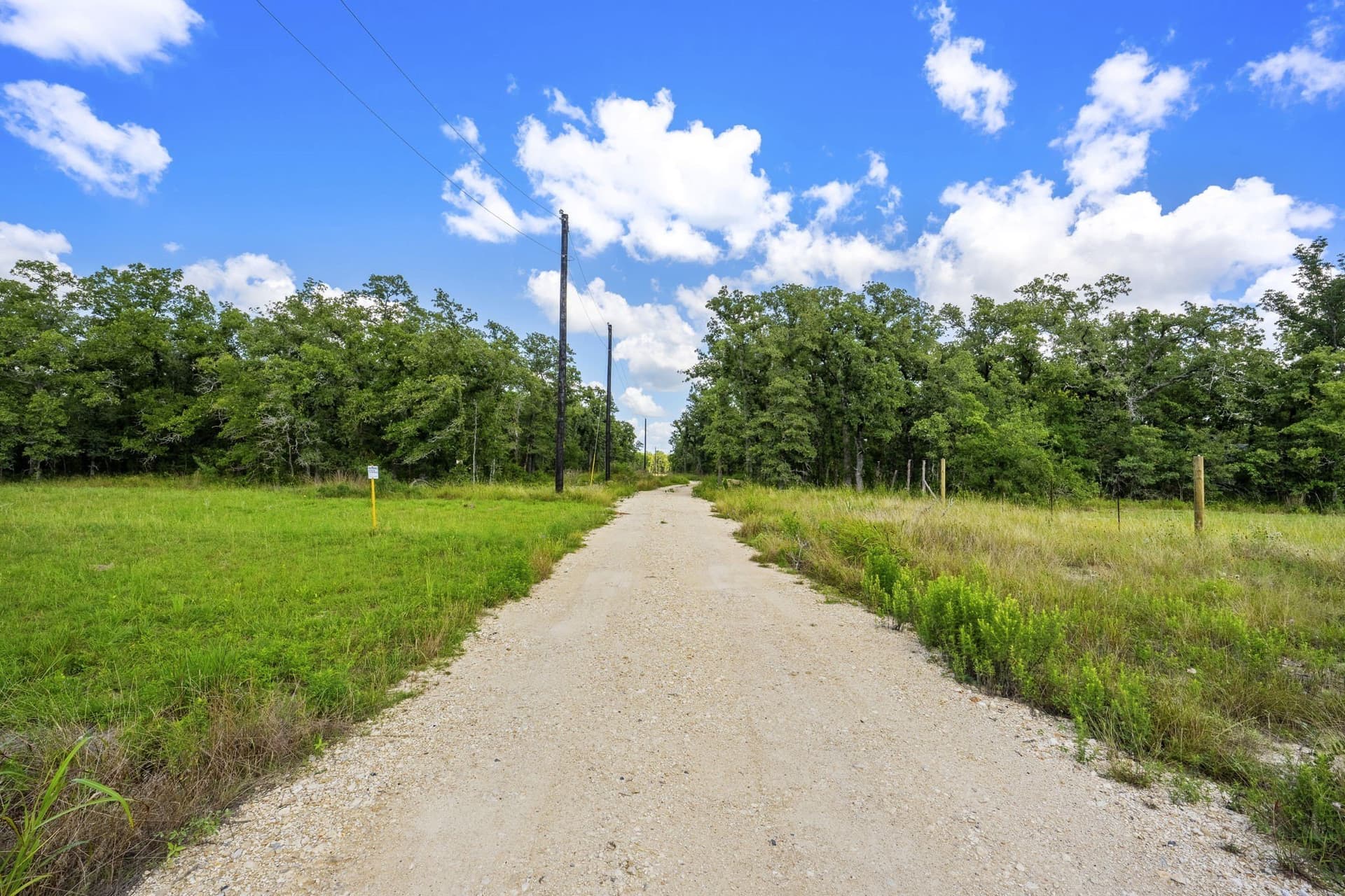 10.01 acres in Milam County - photo 20