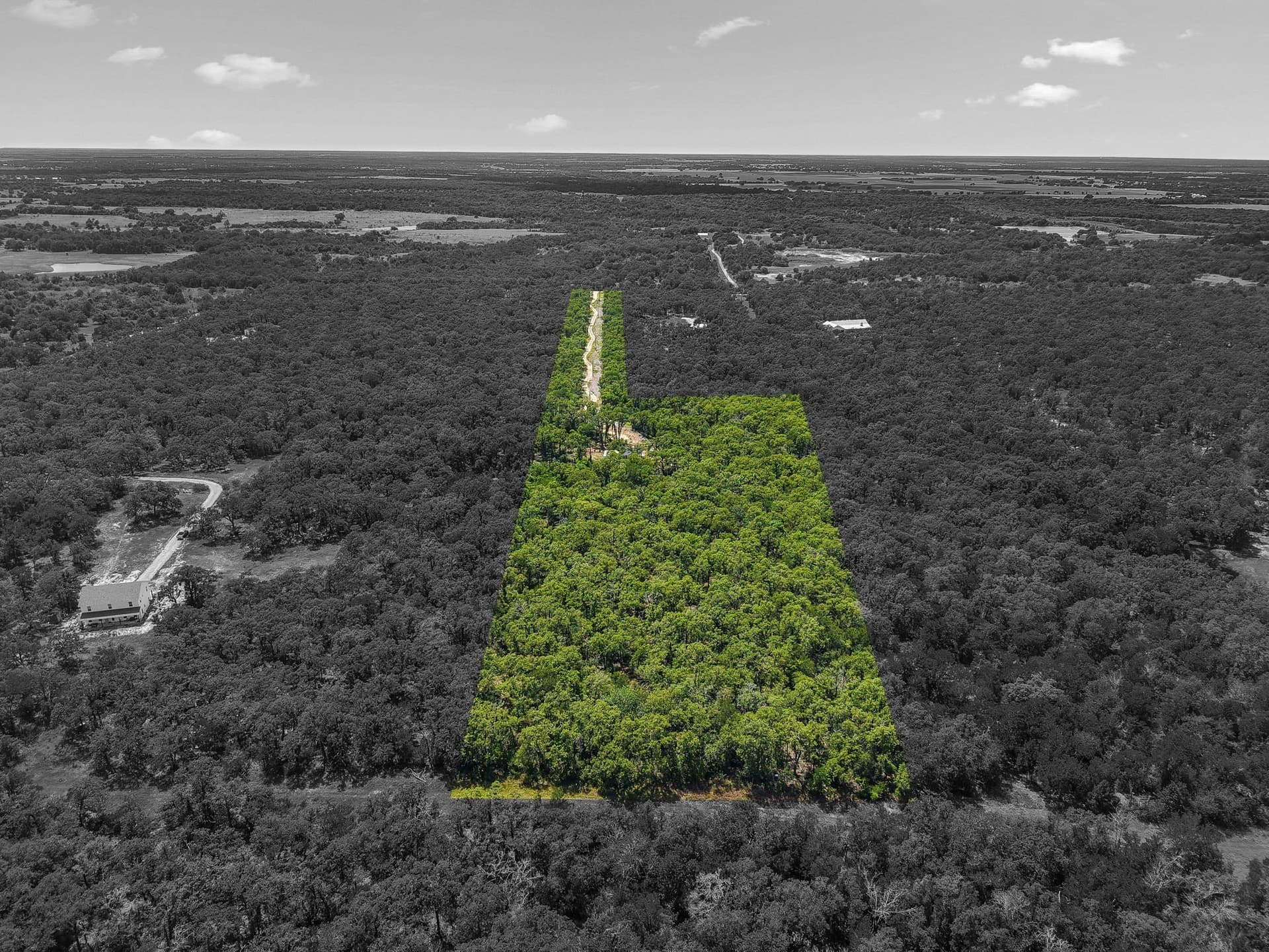 10.01 acres in Milam County - photo 26