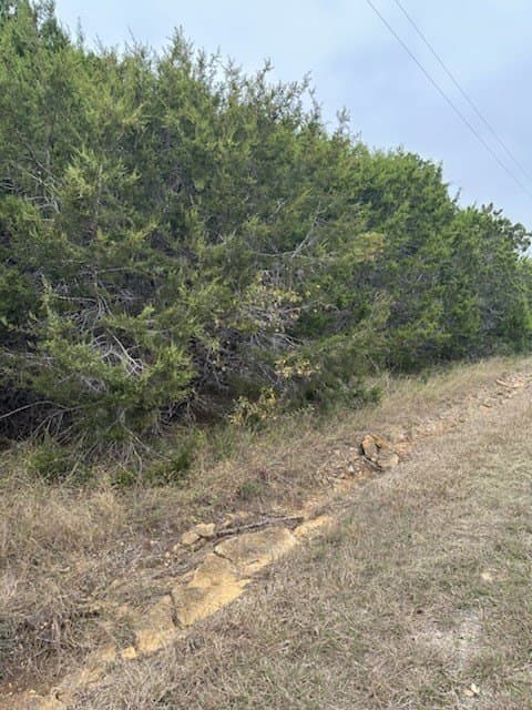 0.54 acres in Hill County - photo 2