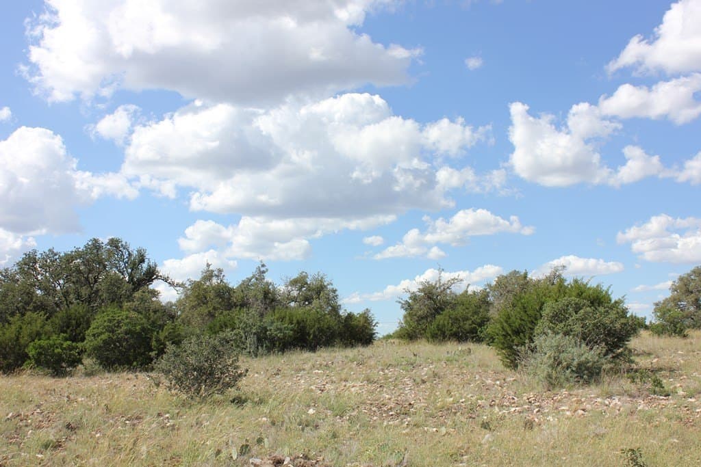 30 acres in Texas County gallery image 3