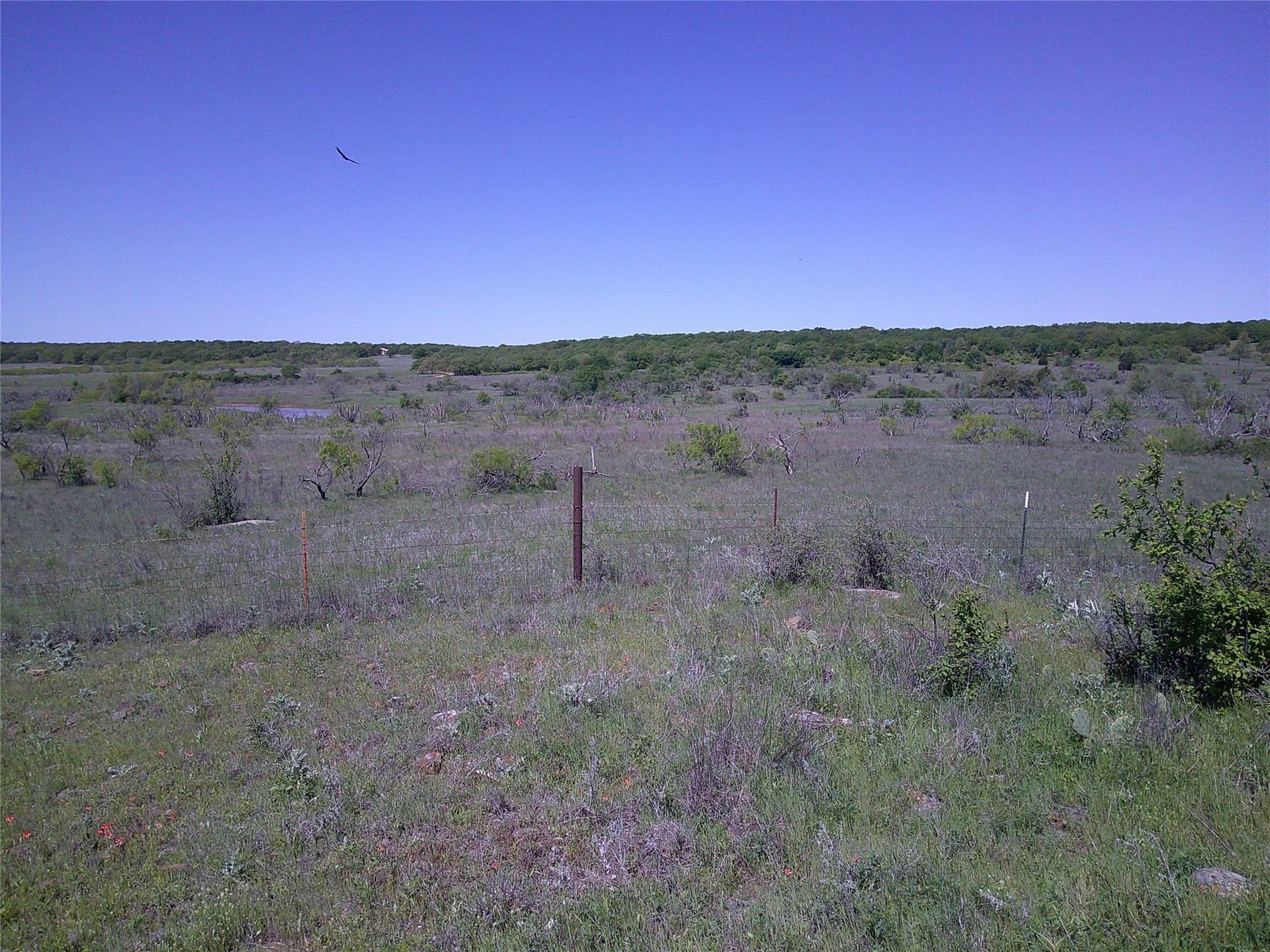 54 acres in Clay County - photo 15