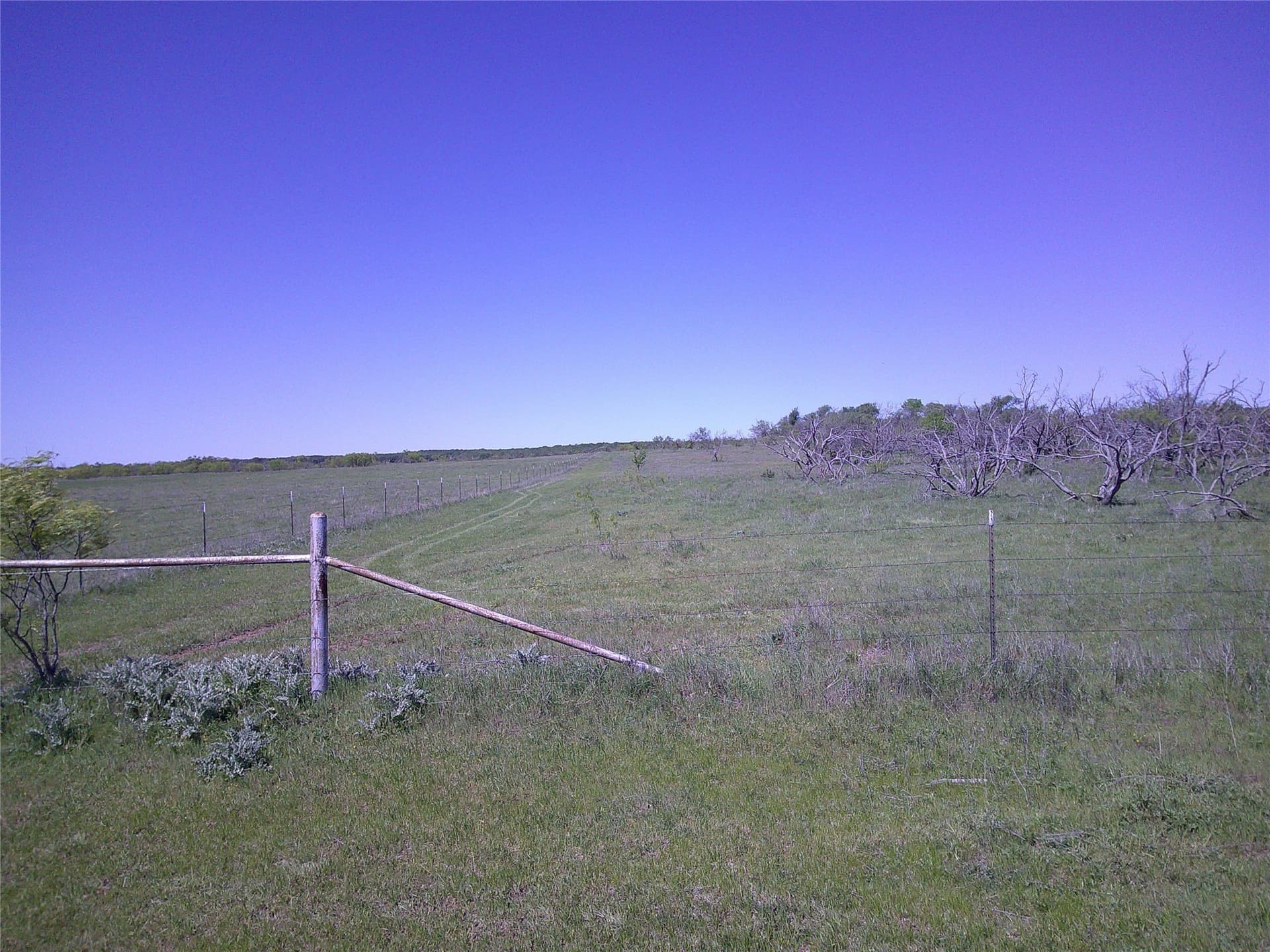 54 acres in Clay County - photo 10
