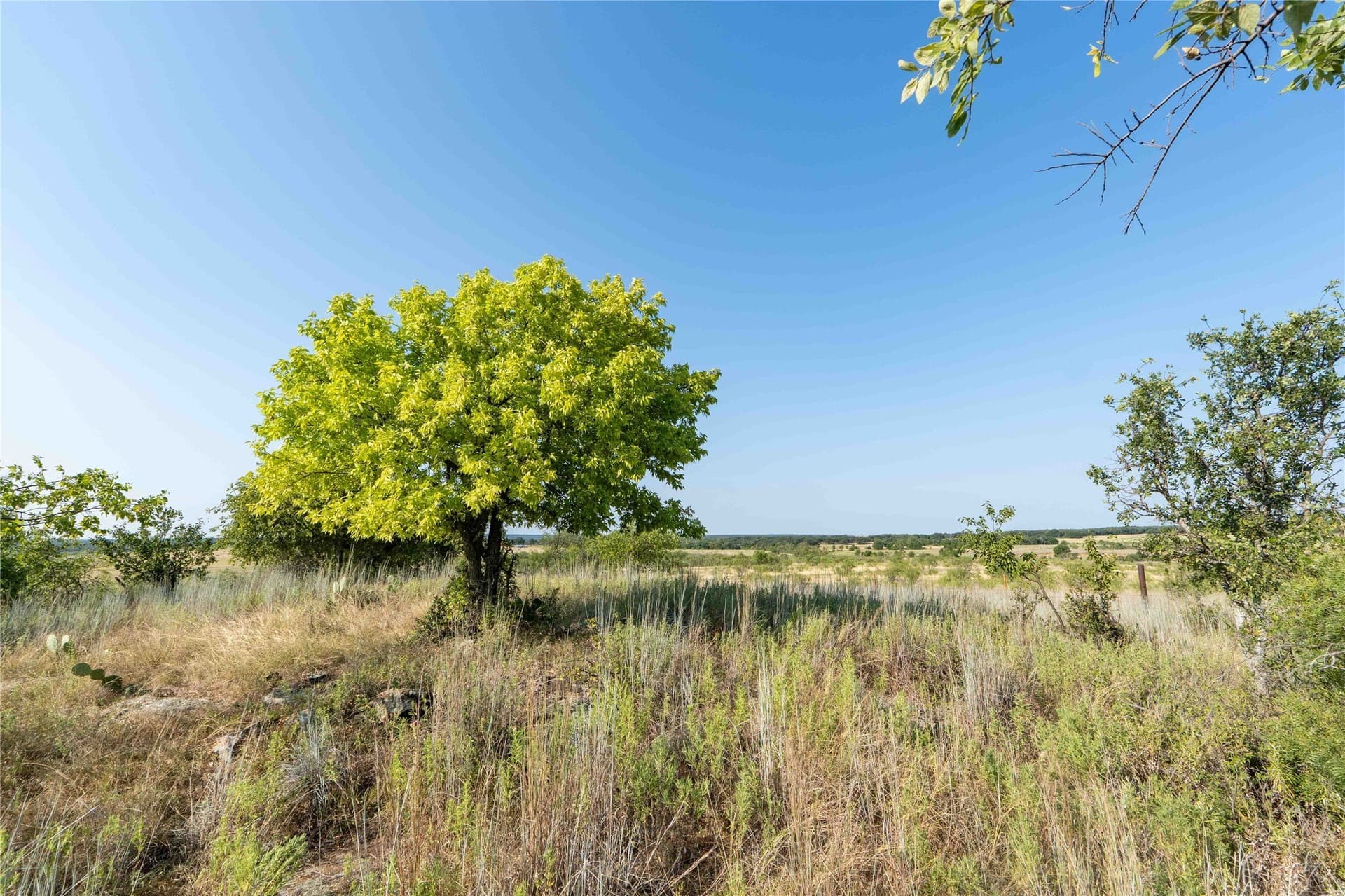 54 acres in Clay County - photo 7