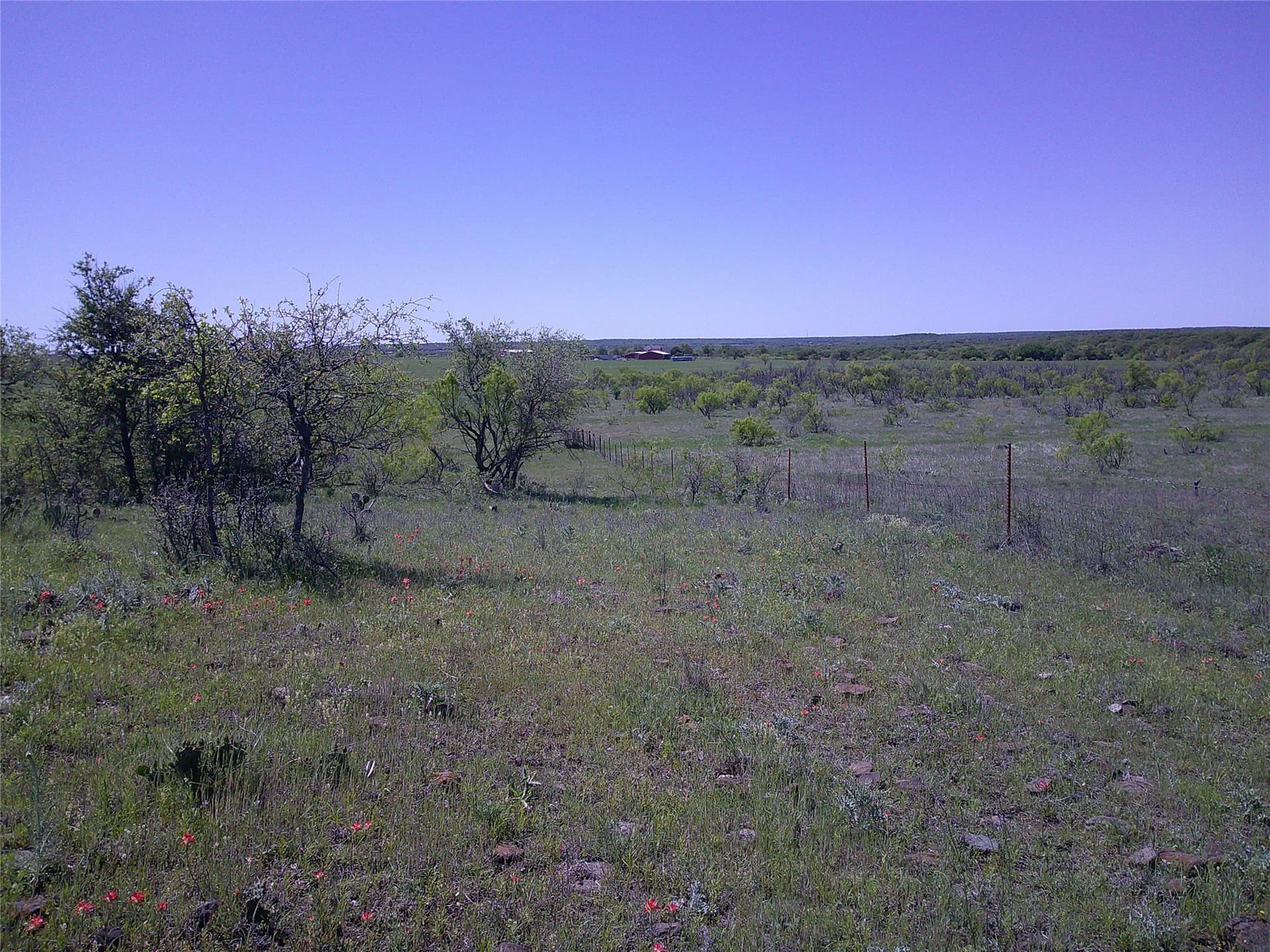 54 acres in Clay County - photo 13