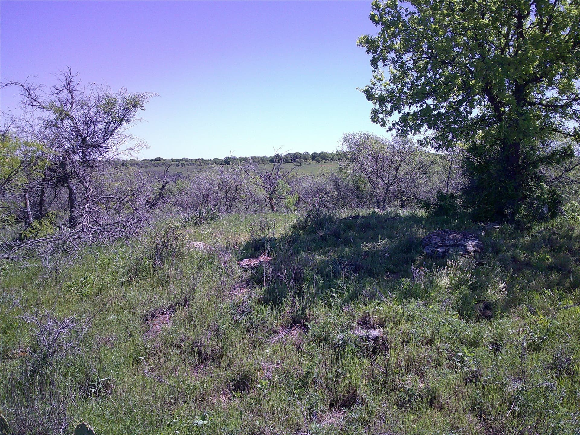 54 acres in Clay County - photo 12