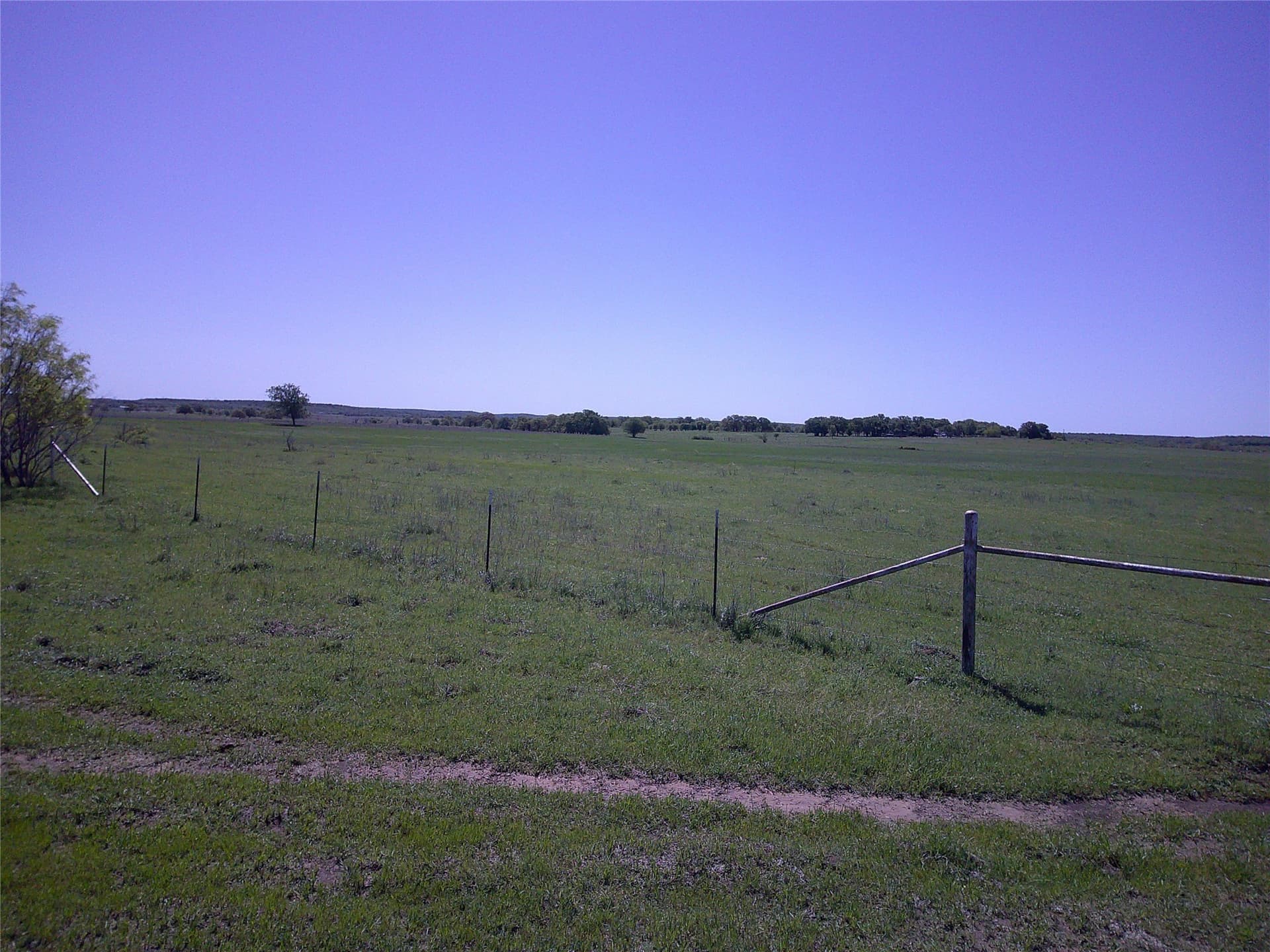 54 acres in Clay County - photo 9