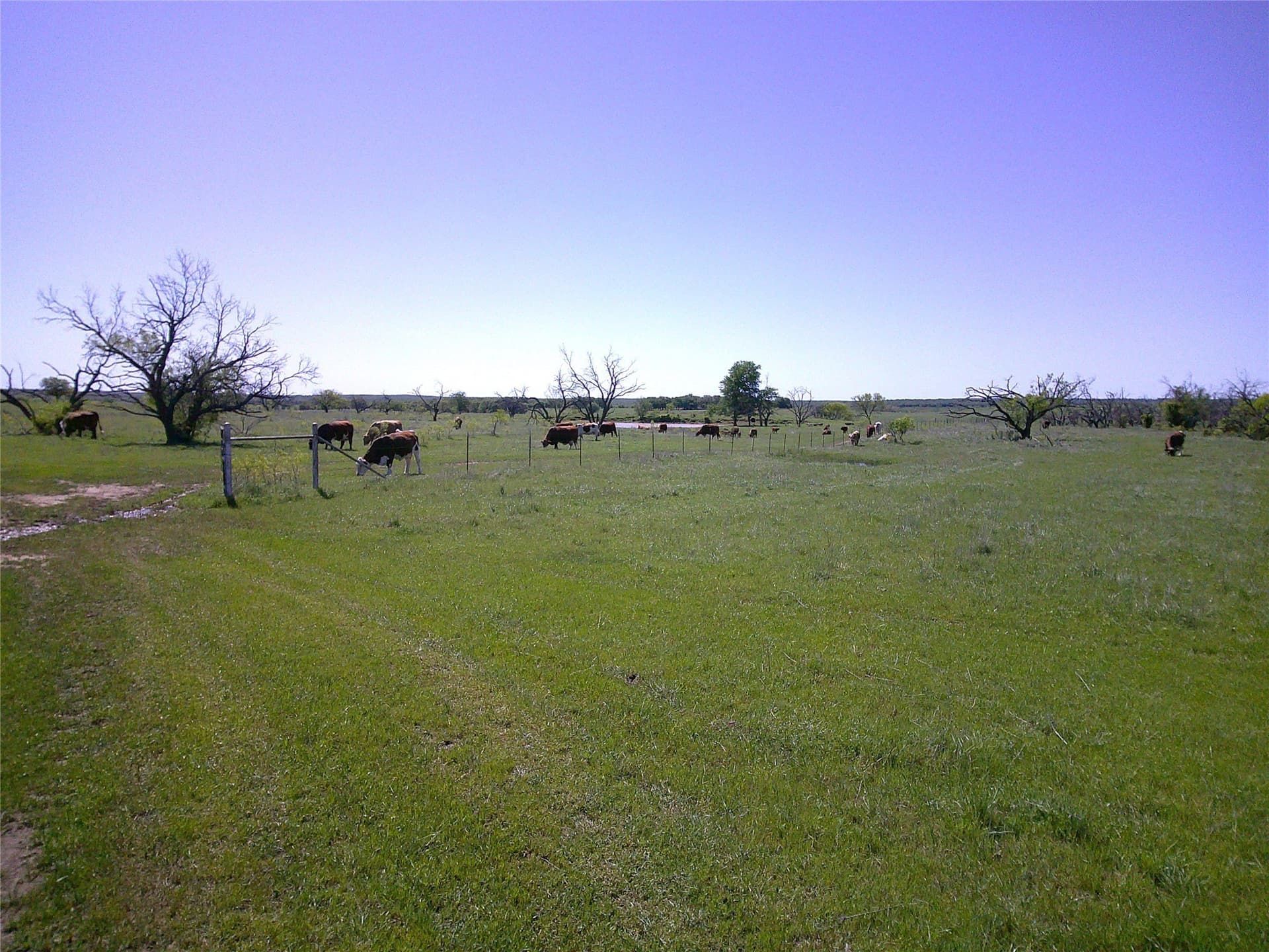 54 acres in Clay County gallery image 3