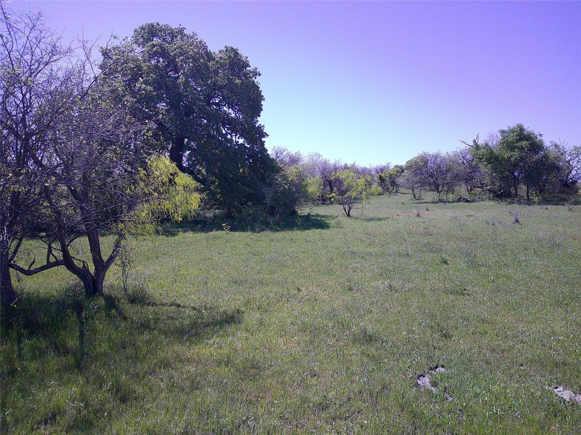54 acres in Clay County - photo 11