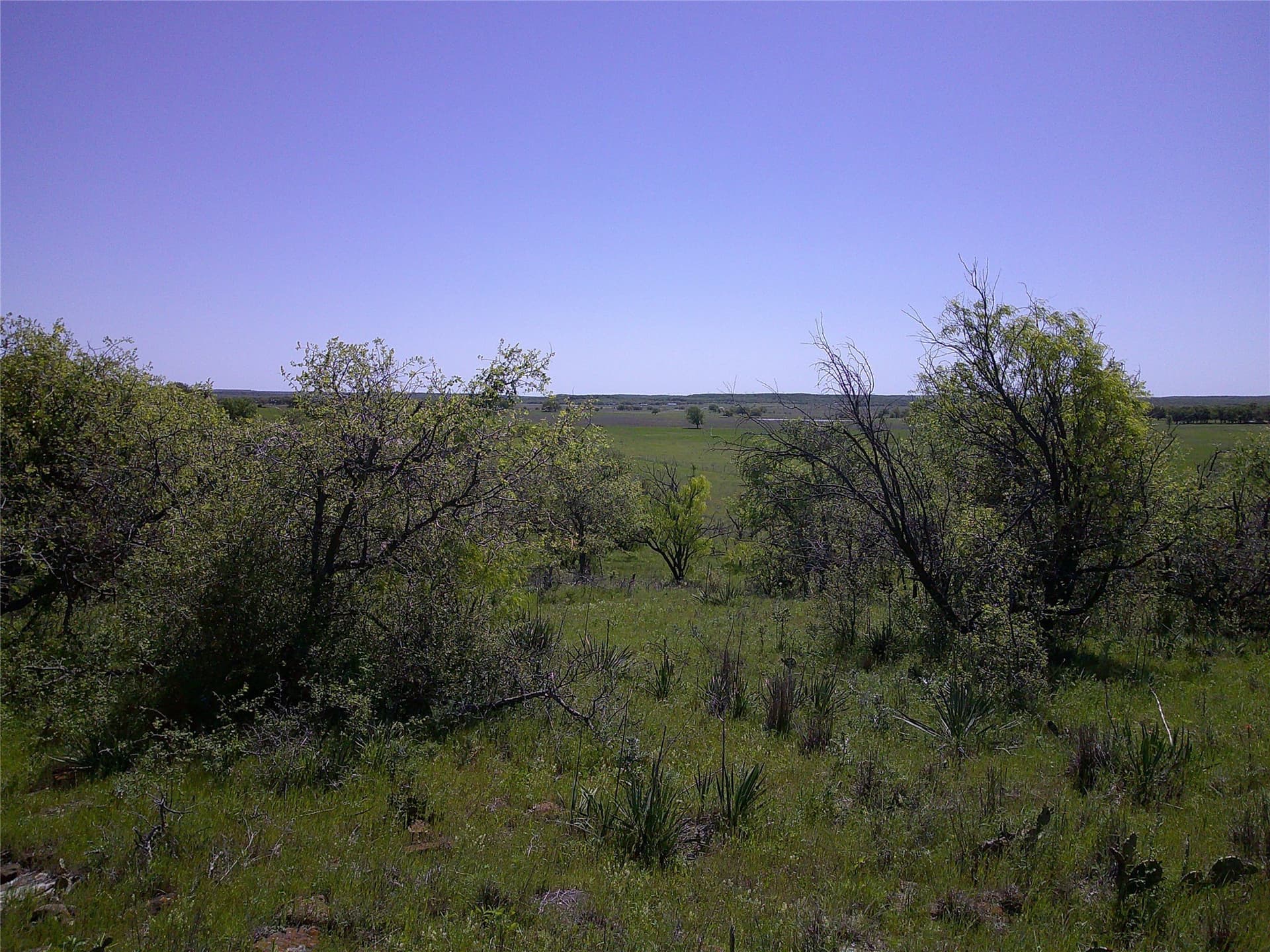 54 acres in Clay County - photo 14