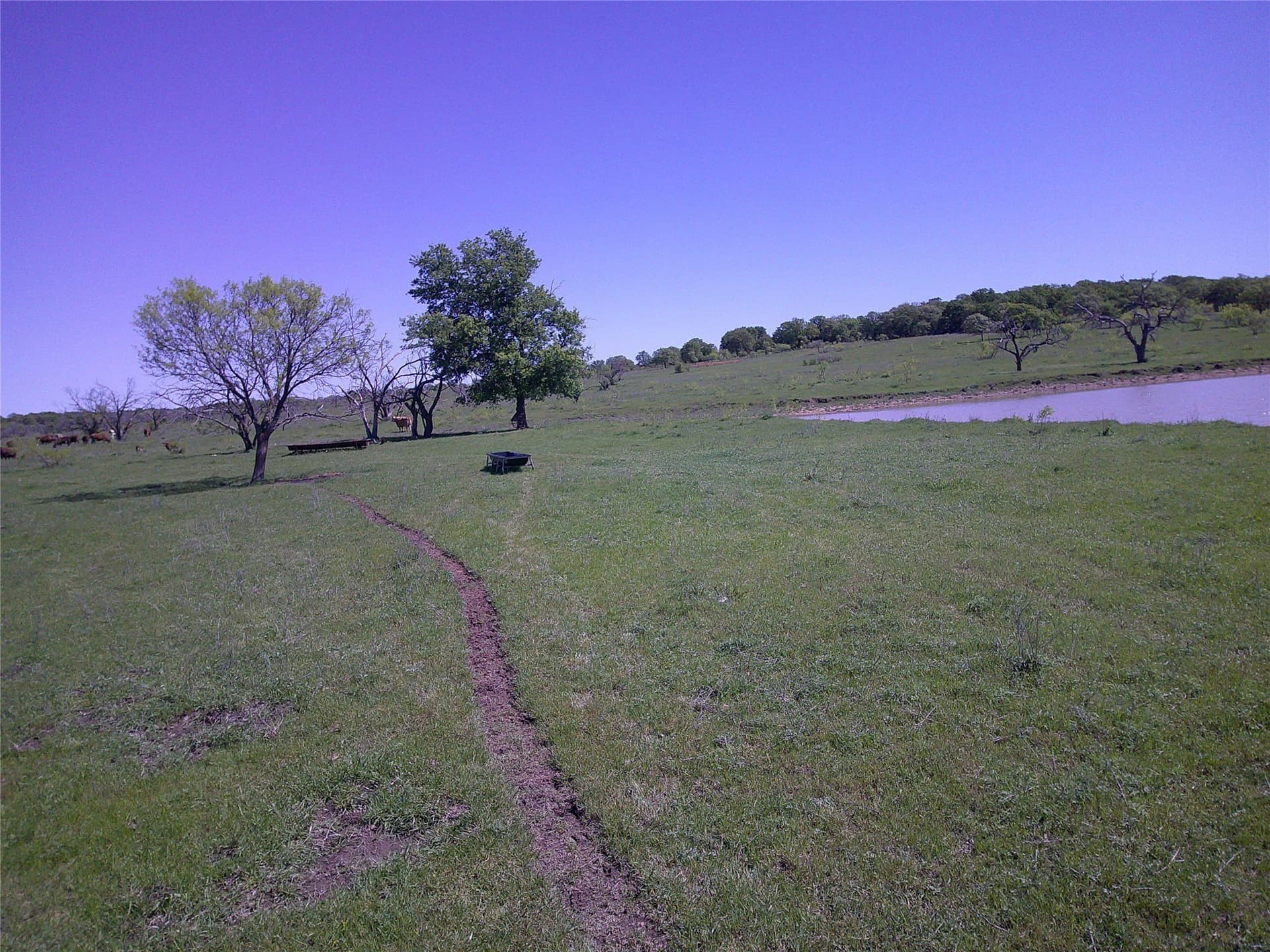 54 acres in Clay County featured view