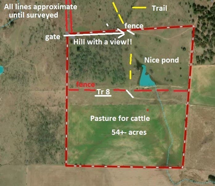 54 acres in Clay County - photo 16