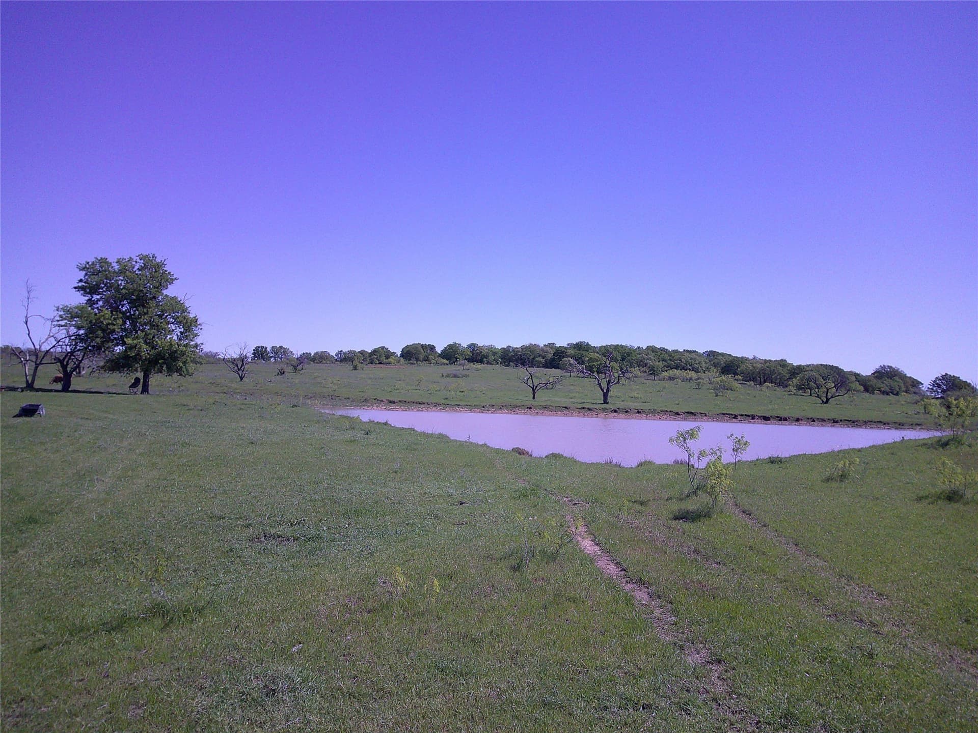 54 acres in Clay County