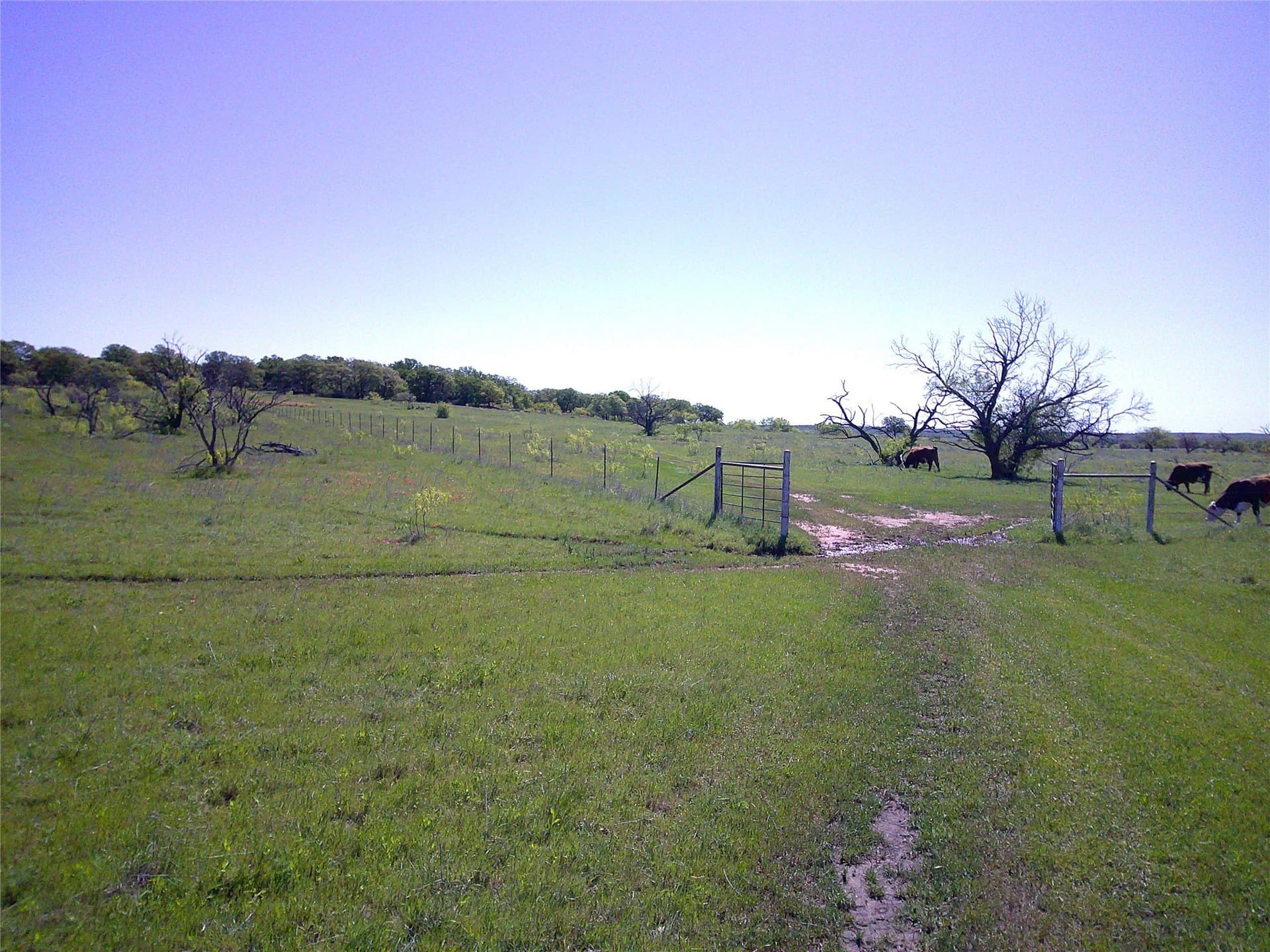 54 acres in Clay County gallery image 2