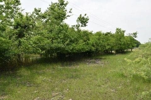 6.06 acres in Kaufman County