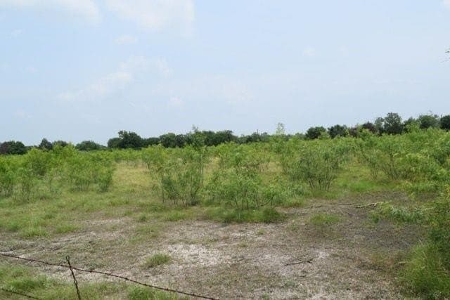 6.06 acres in Kaufman County gallery image 2