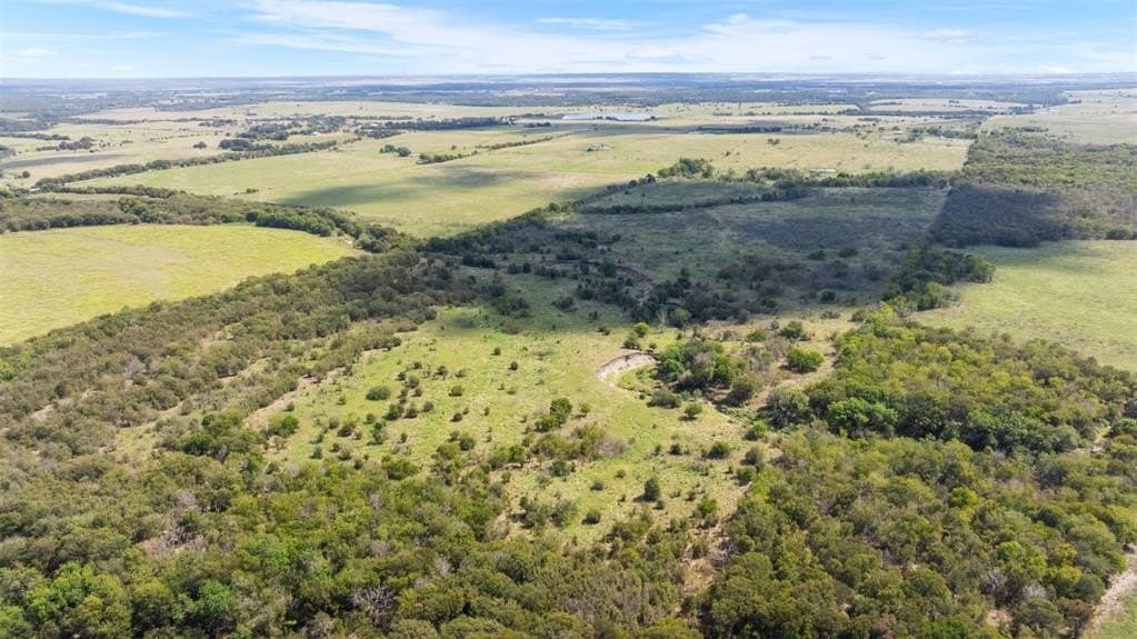 143.17 acres in Limestone County gallery image 4