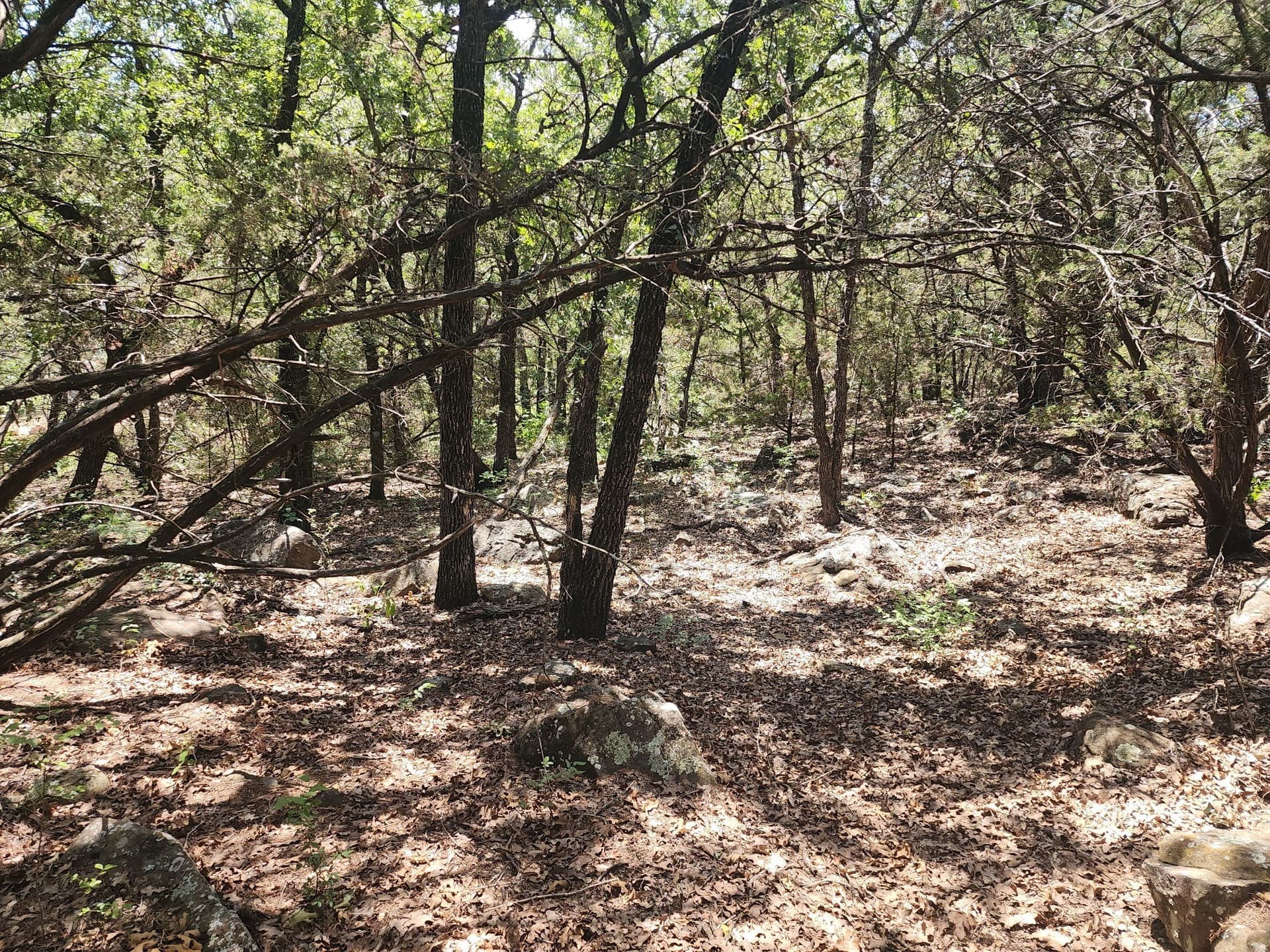 16.31 acres in Palo Pinto County - photo 18