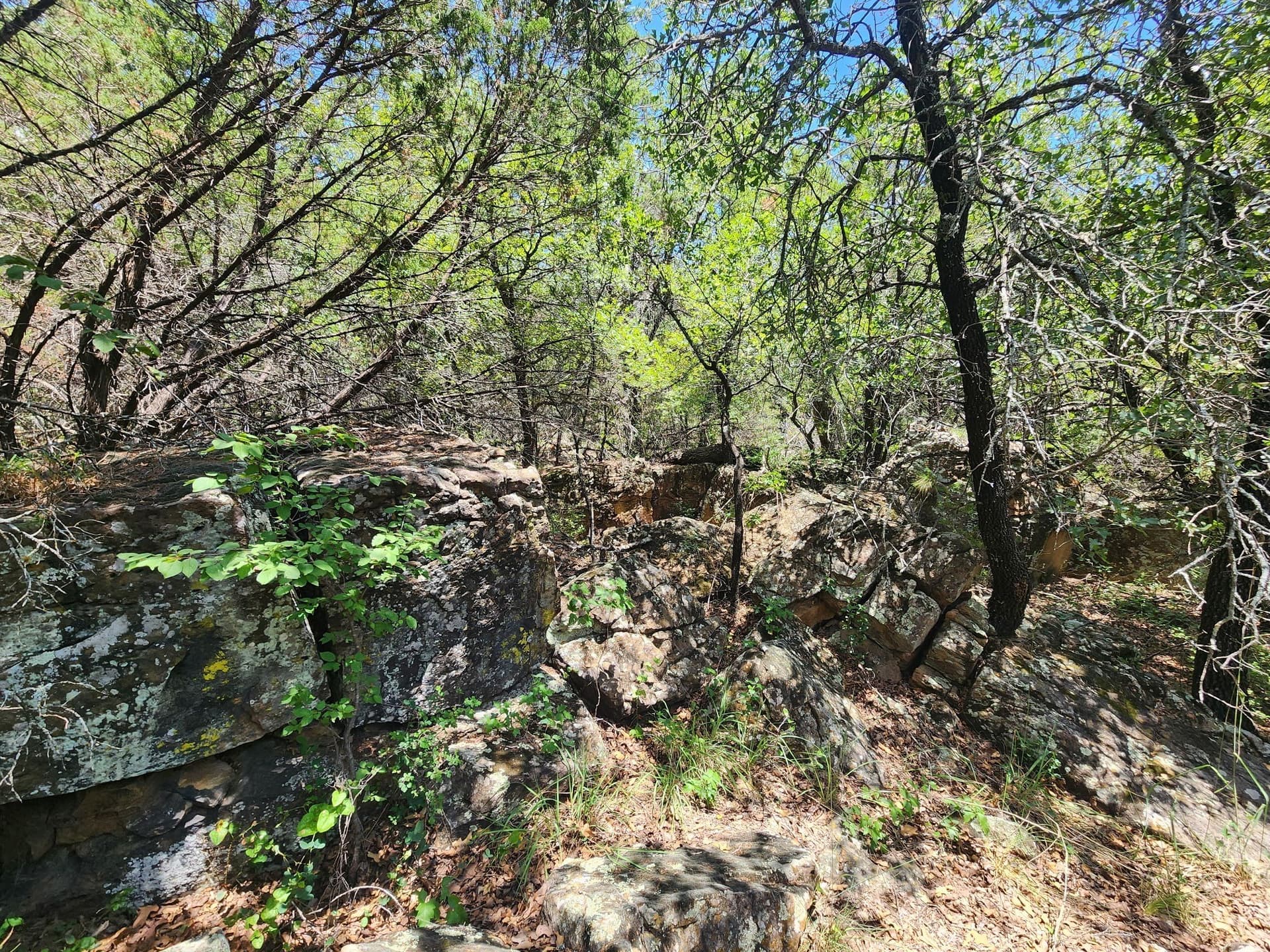 16.31 acres in Palo Pinto County - photo 15