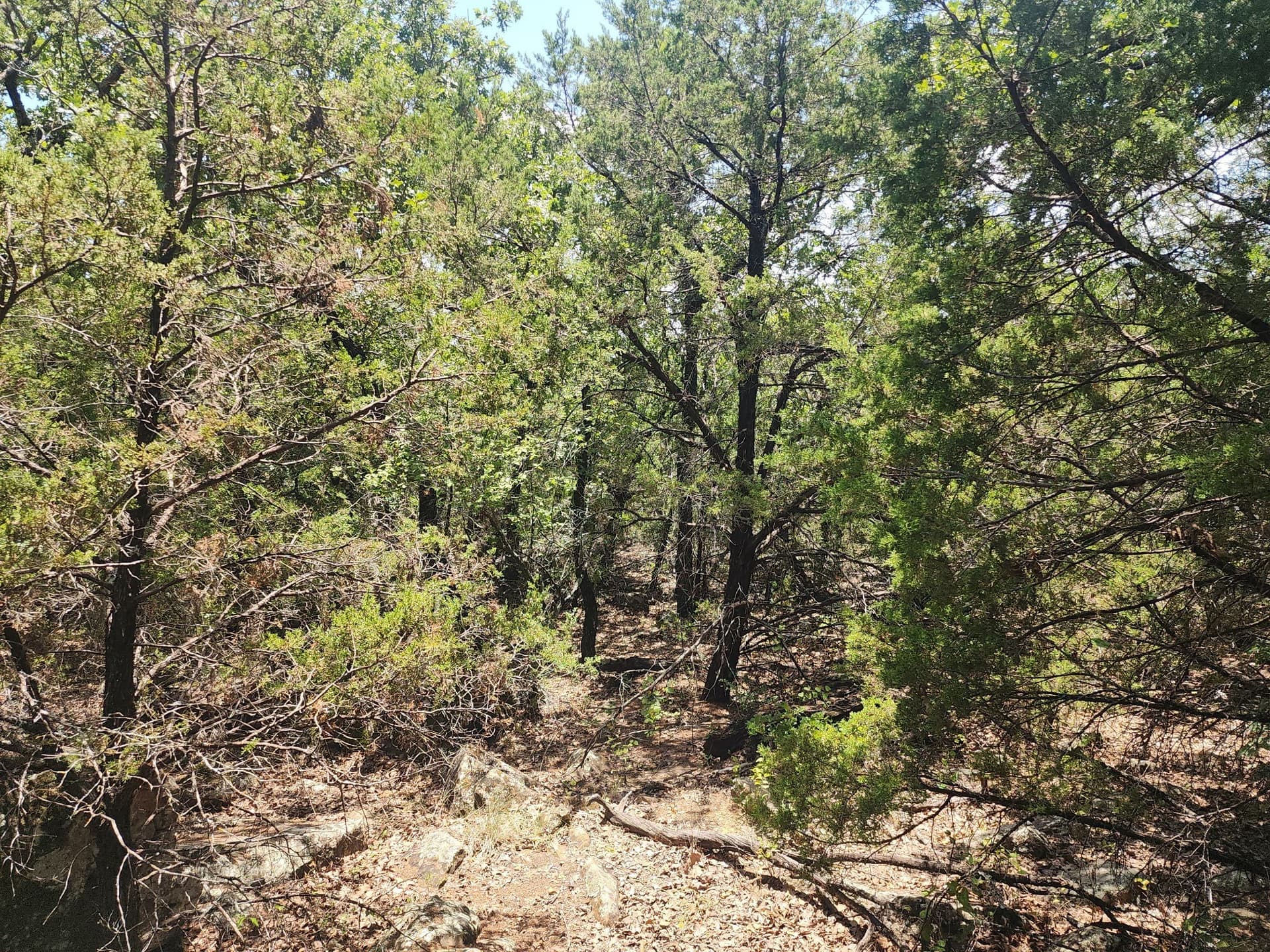 16.31 acres in Palo Pinto County - photo 16