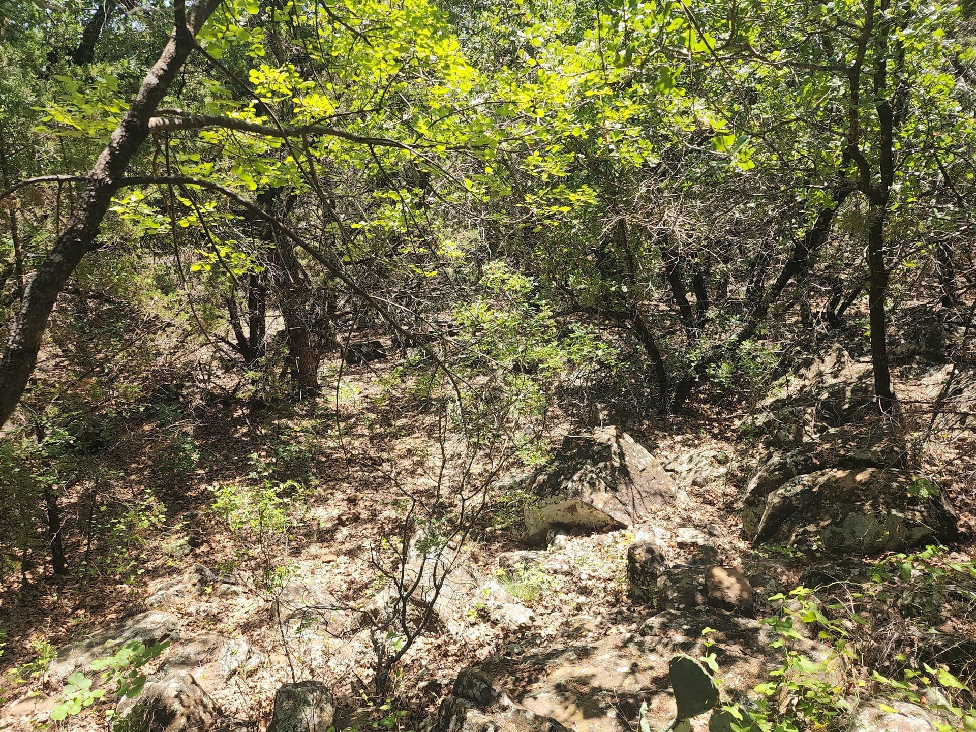 16.31 acres in Palo Pinto County - photo 17