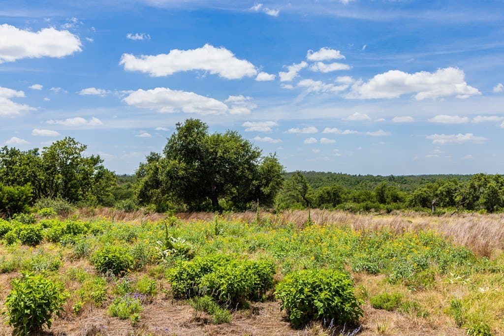 8.9 acres in Gillespie County featured view