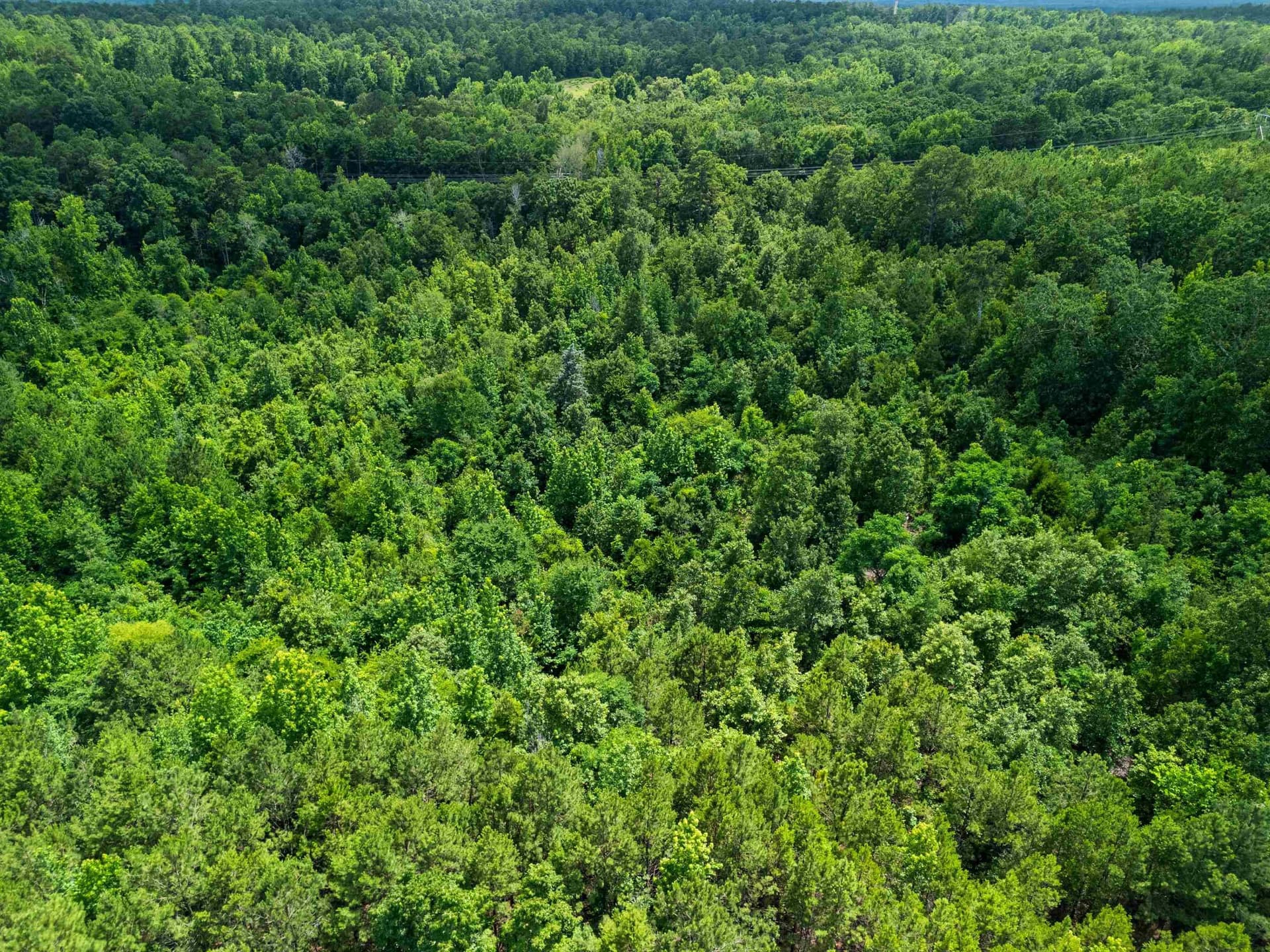 17 acres in Cass County featured view